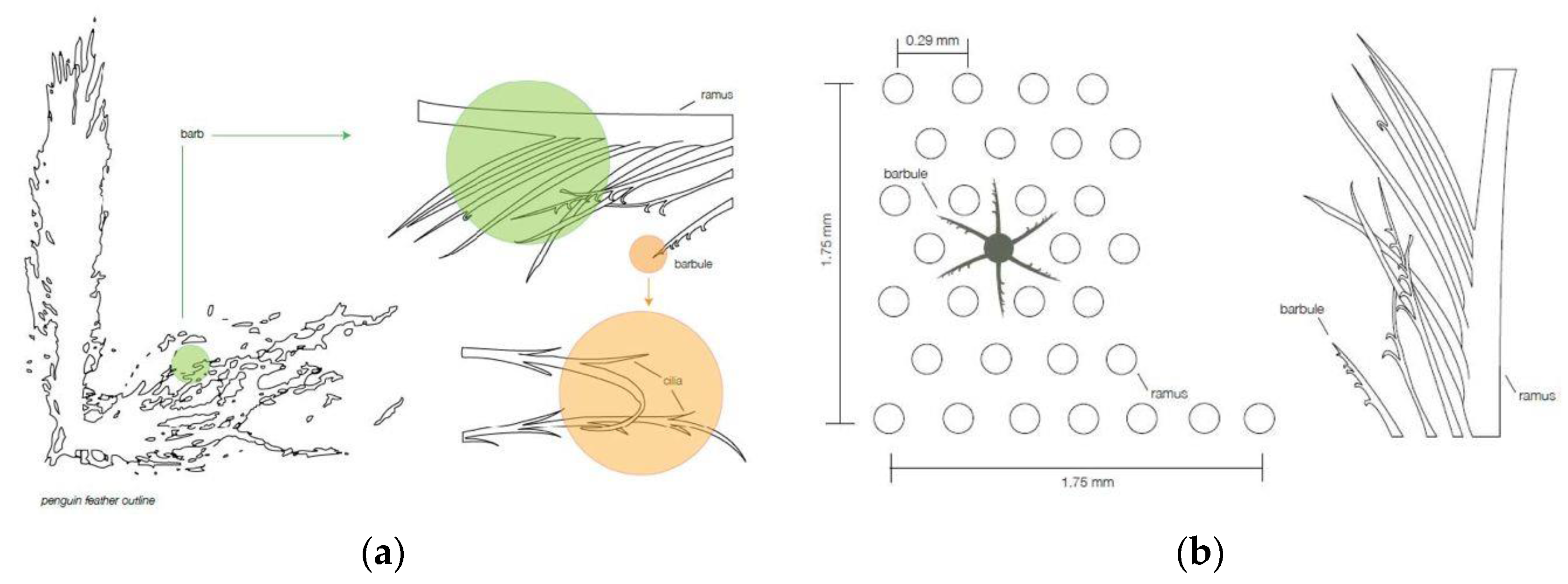 Buildings 07 00019 g006 550