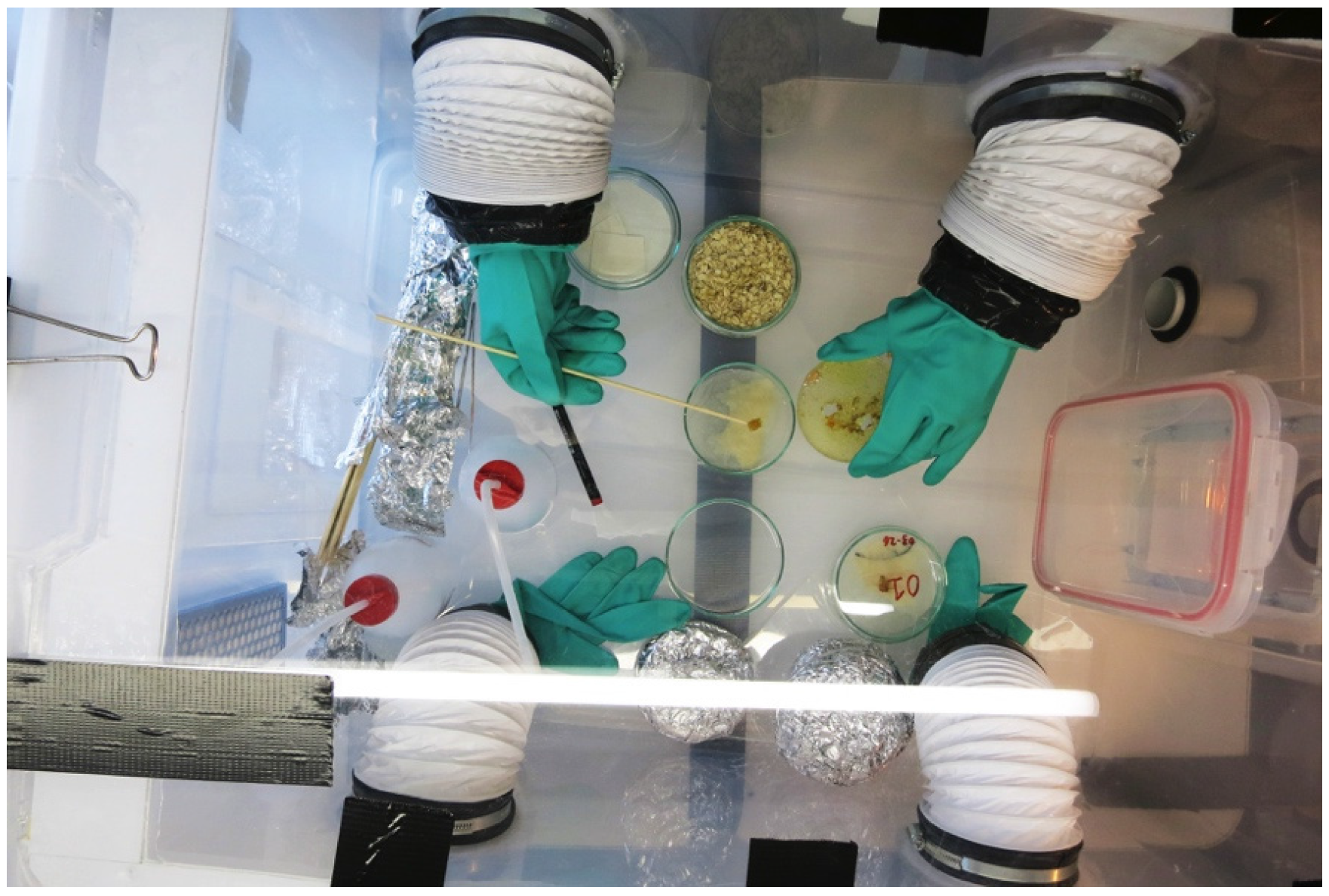 Buildings 07 00032 g005 550