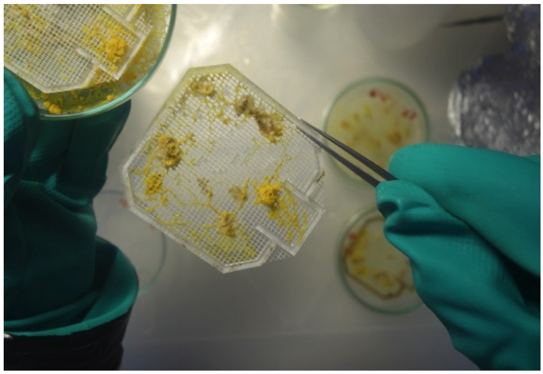 Buildings 07 00032 g008 550