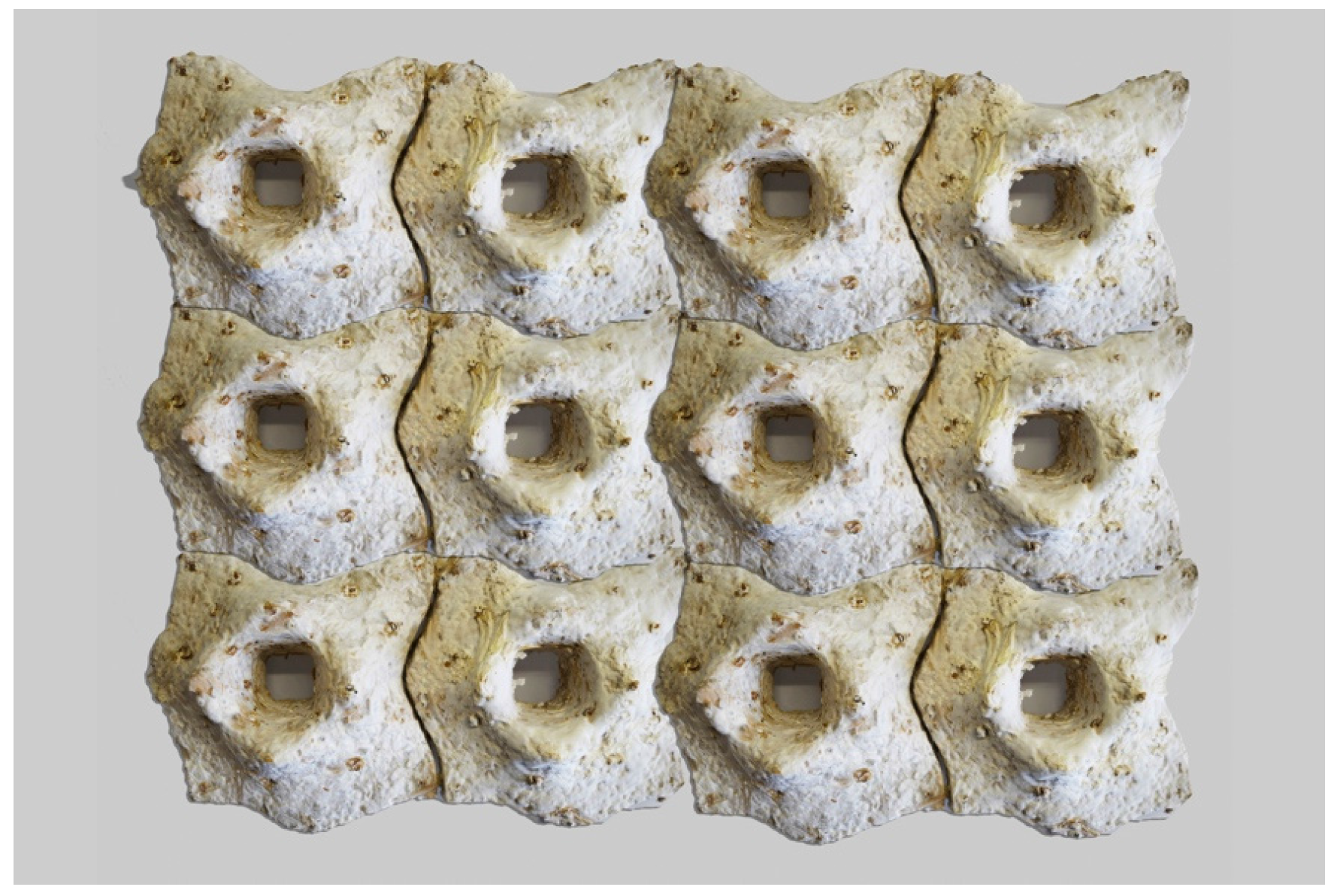 Buildings 07 00032 g013 550