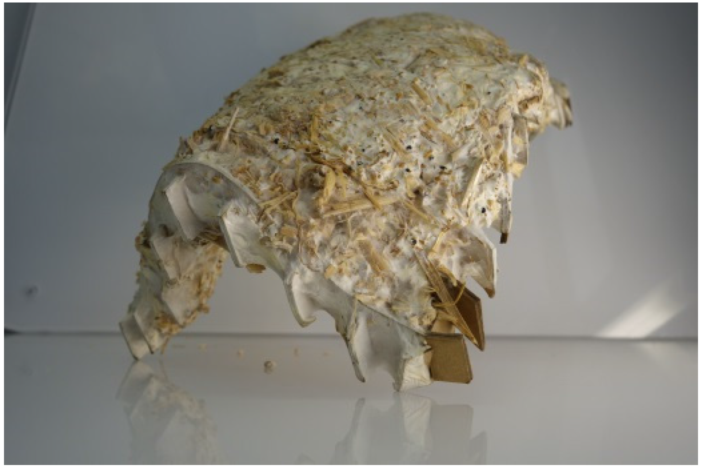 Buildings 07 00032 g016 550