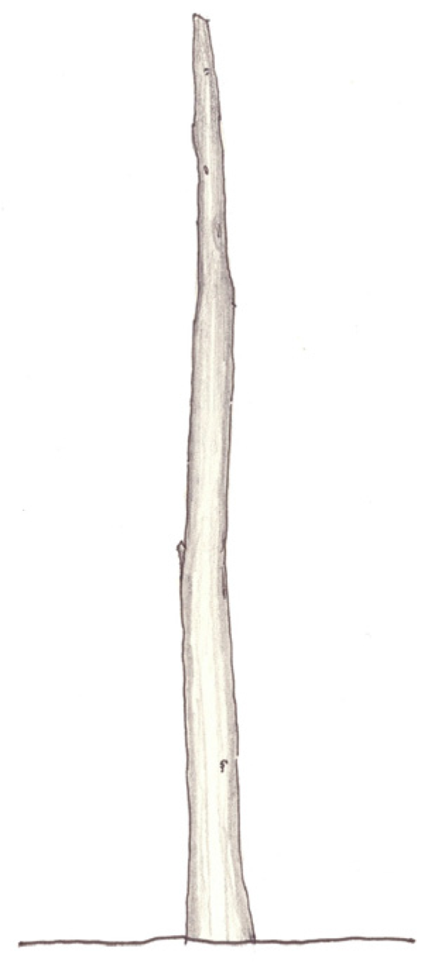 Buildings 08 00041 g002 550