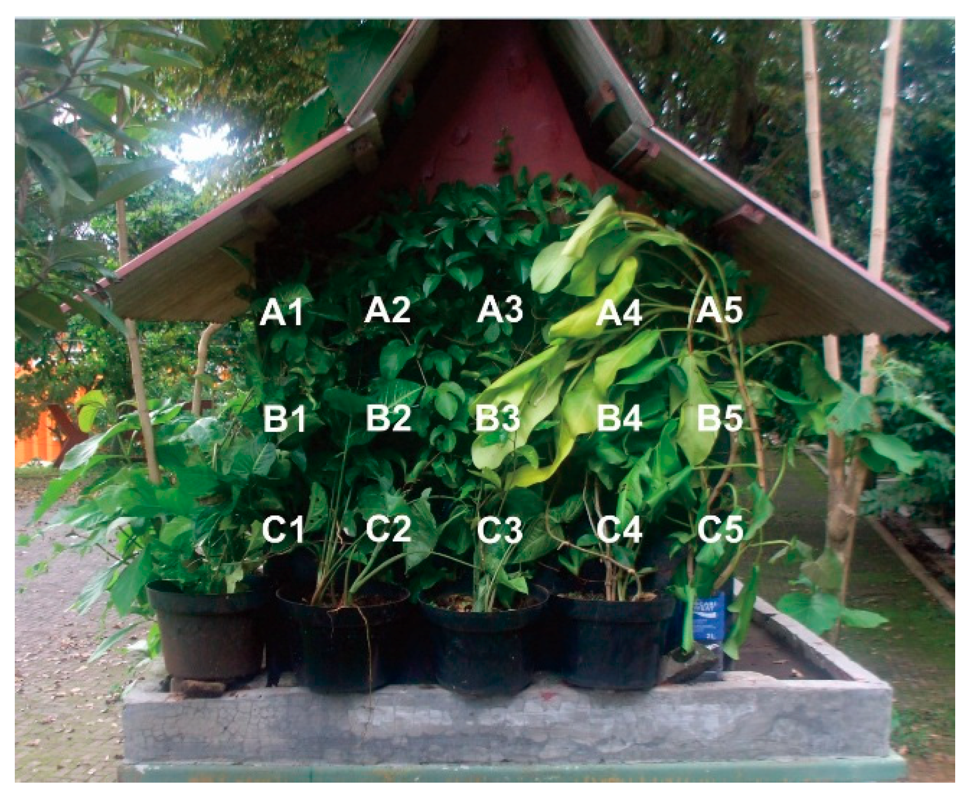 Buildings 08 00138 g005