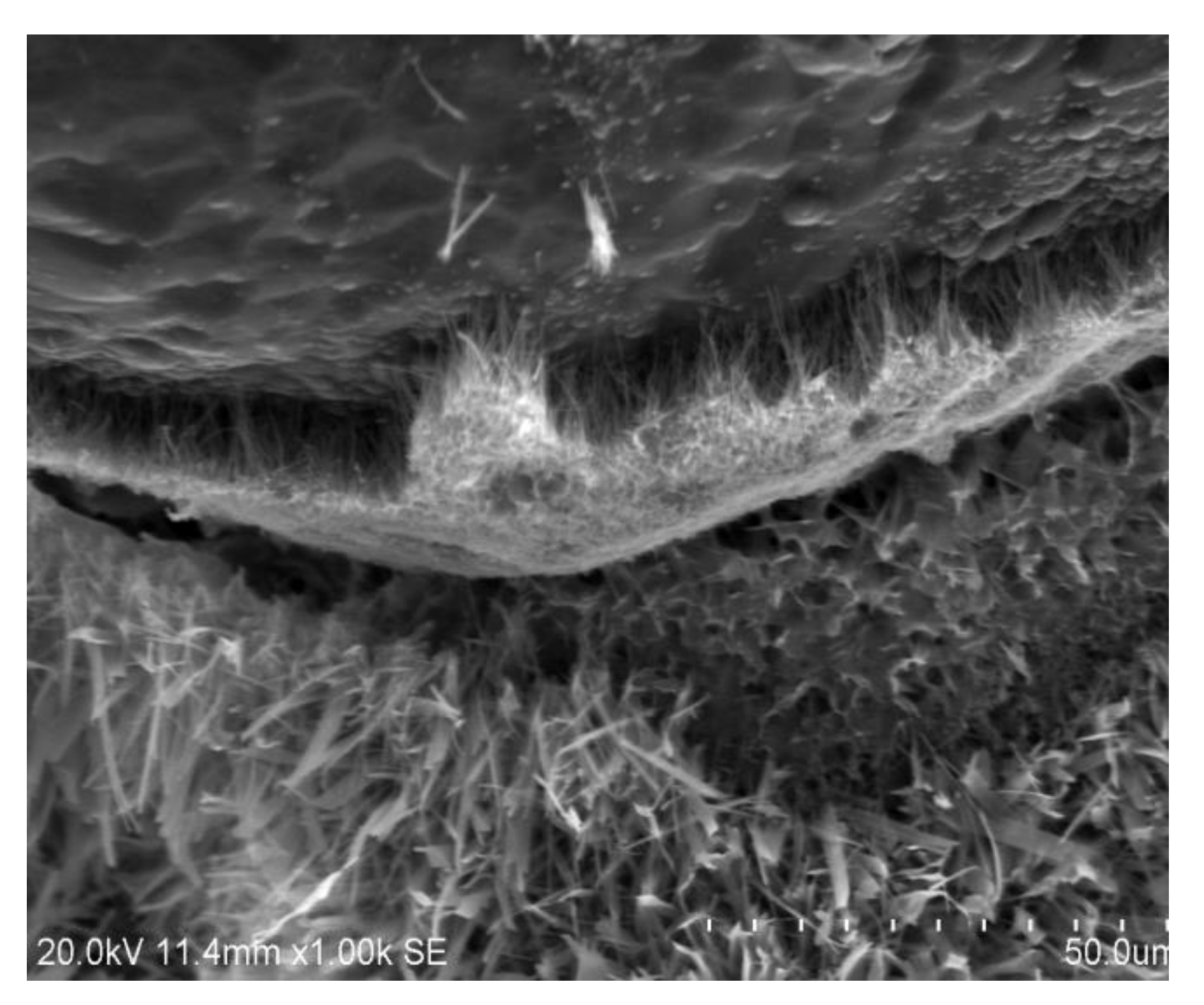 Buildings 09 00232 g015 Buildings 09 00232 g015