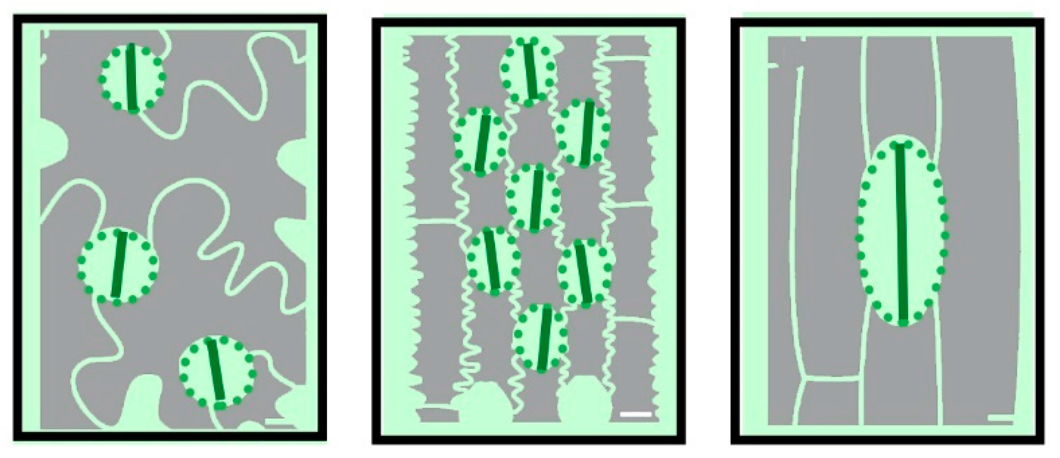 Buildings 10 00114 g002