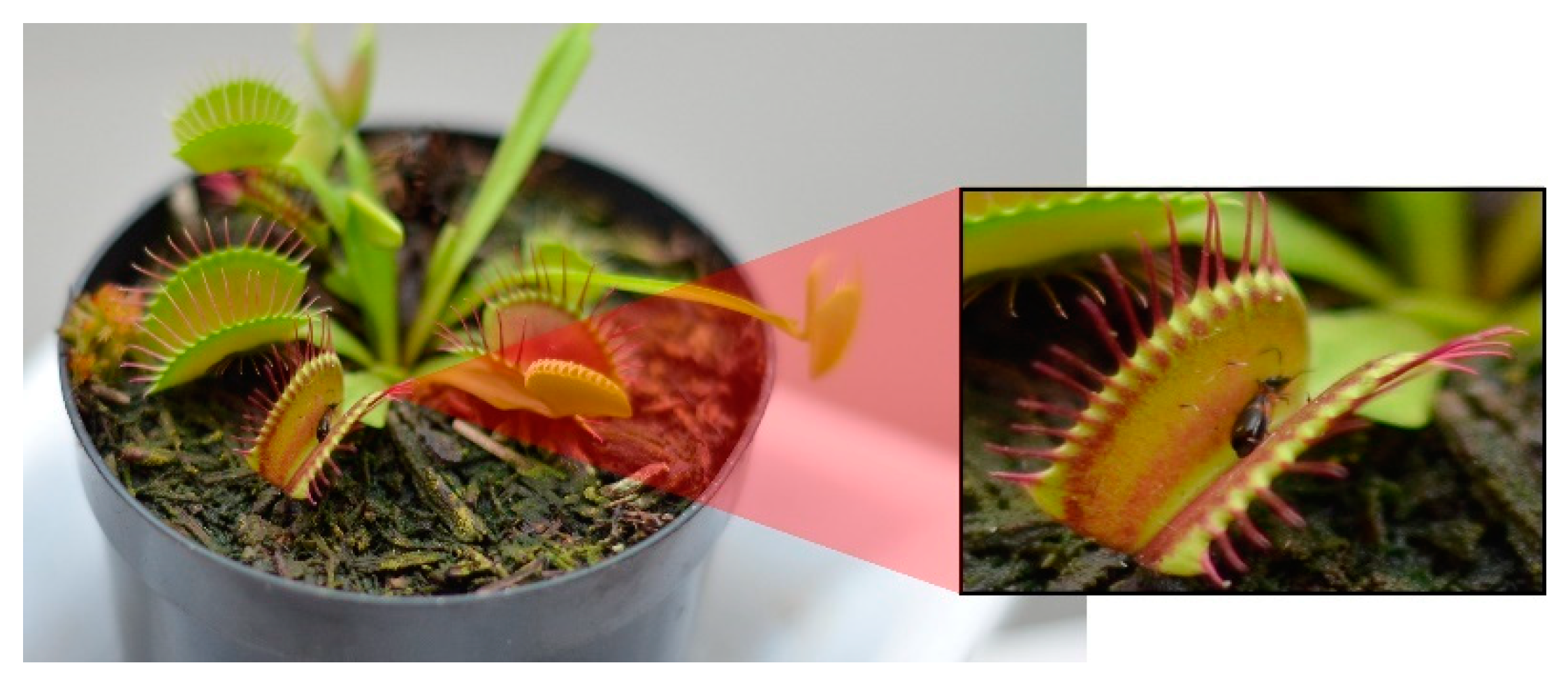 Buildings 10 00114 g006