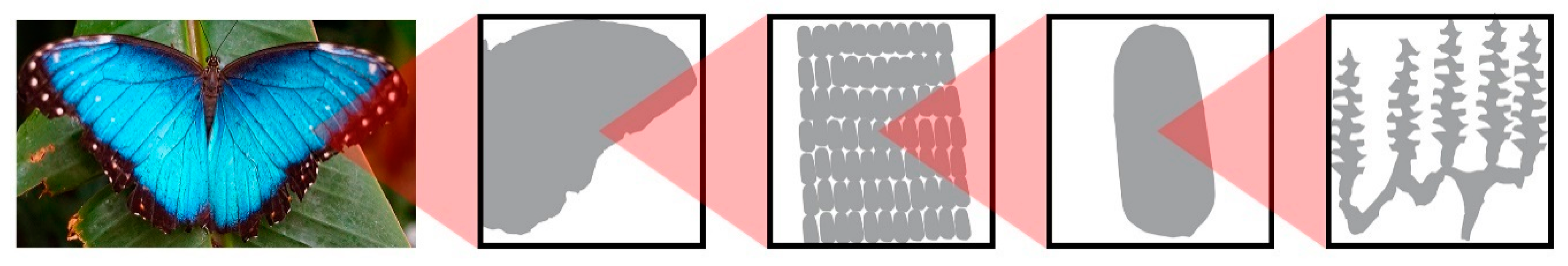 Buildings 10 00114 g008