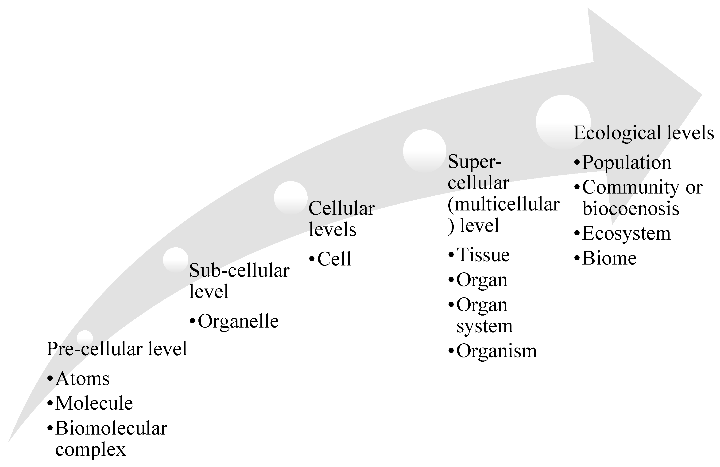 Buildings 10 00114 g010