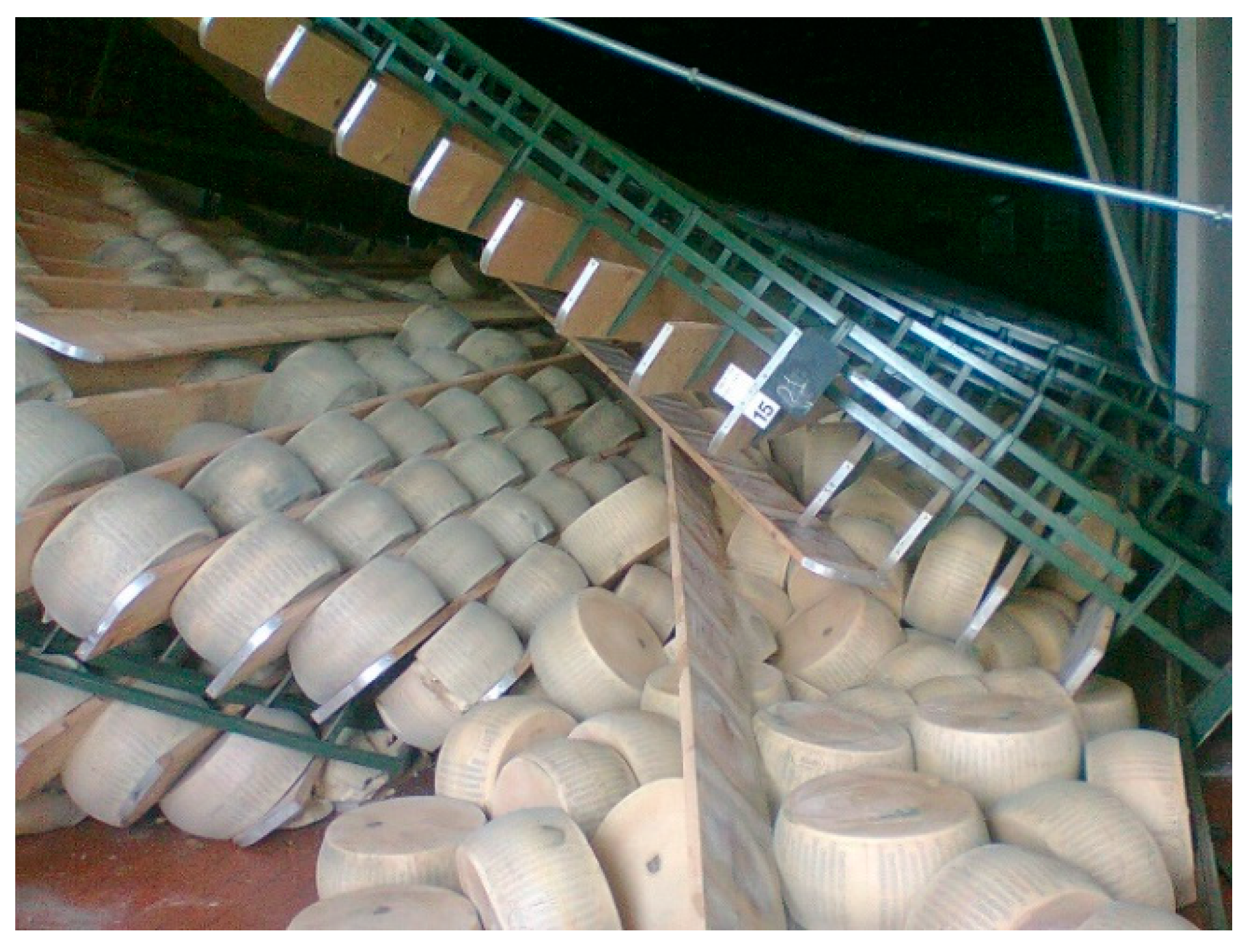 Buildings 10 00246 g001