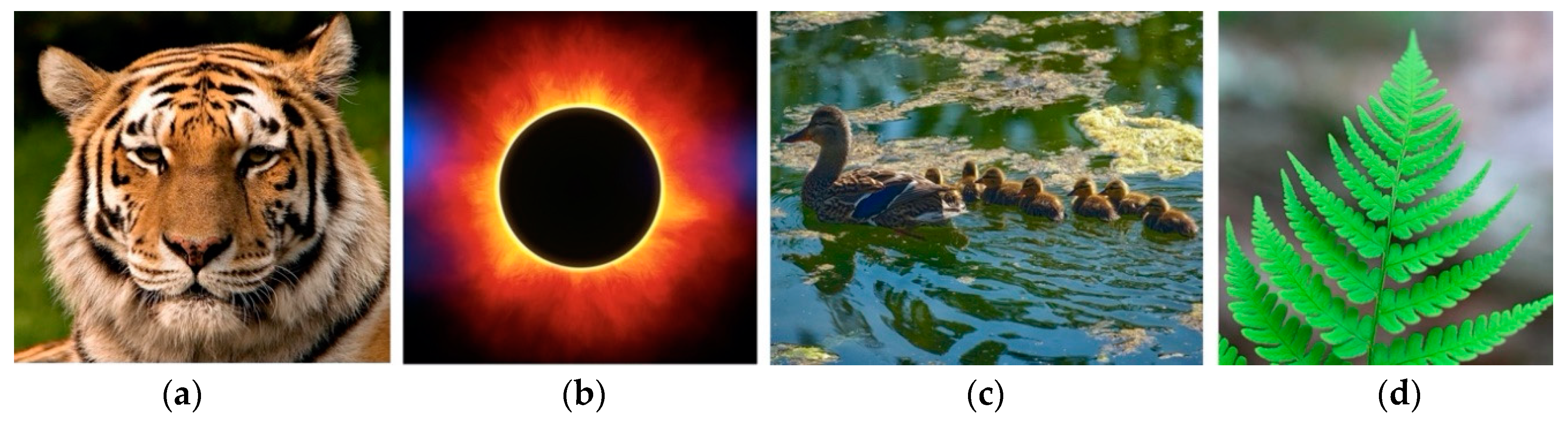 Buildings 10 00249 g001