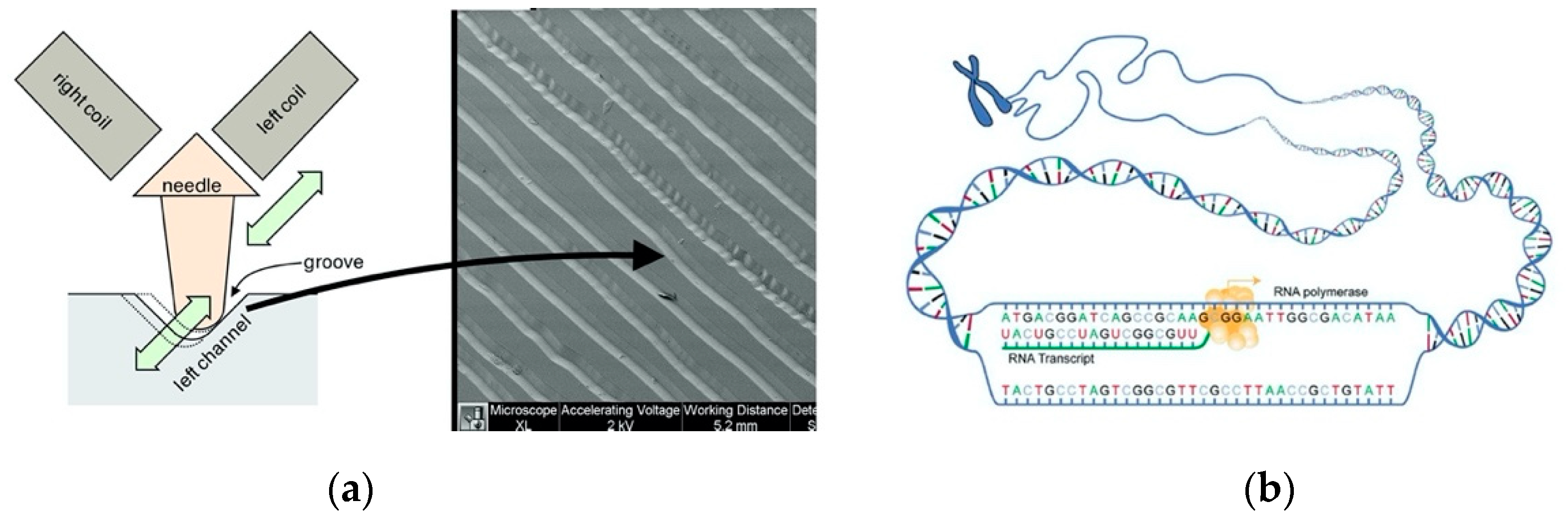 Buildings 10 00249 g004