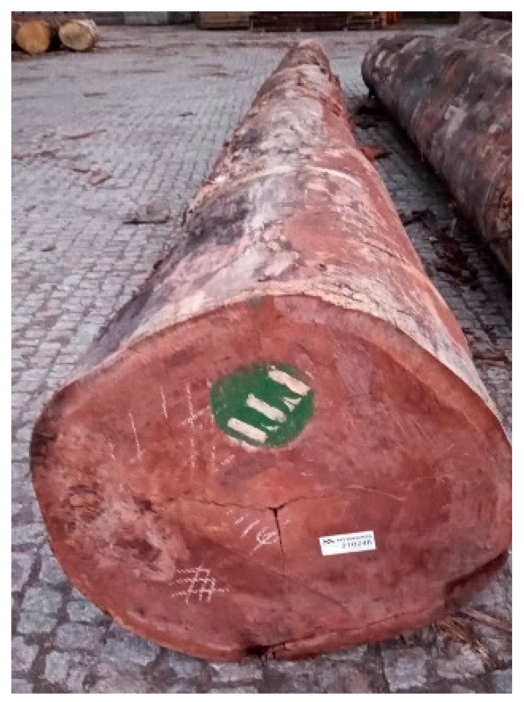 Buildings 11 00116 g001 Buildings 11 00116 g001