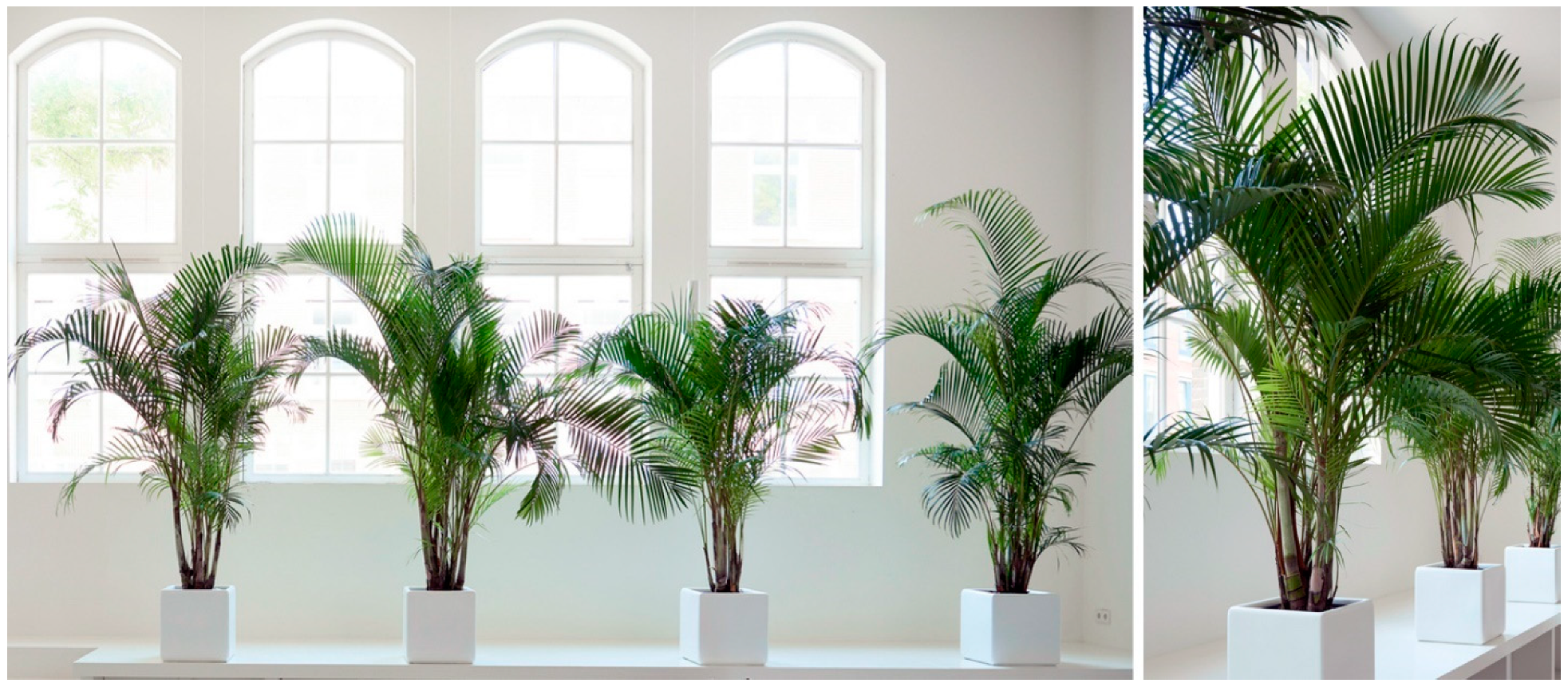 Buildings 11 00289 g003