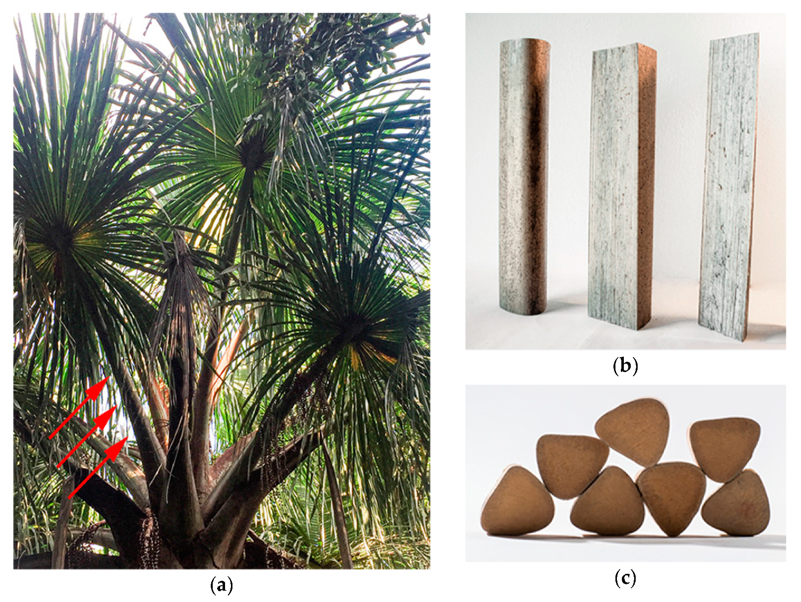 Buildings 11 00292 g001