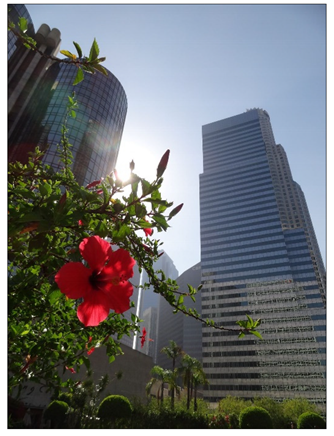 Buildings 11 00358 i004