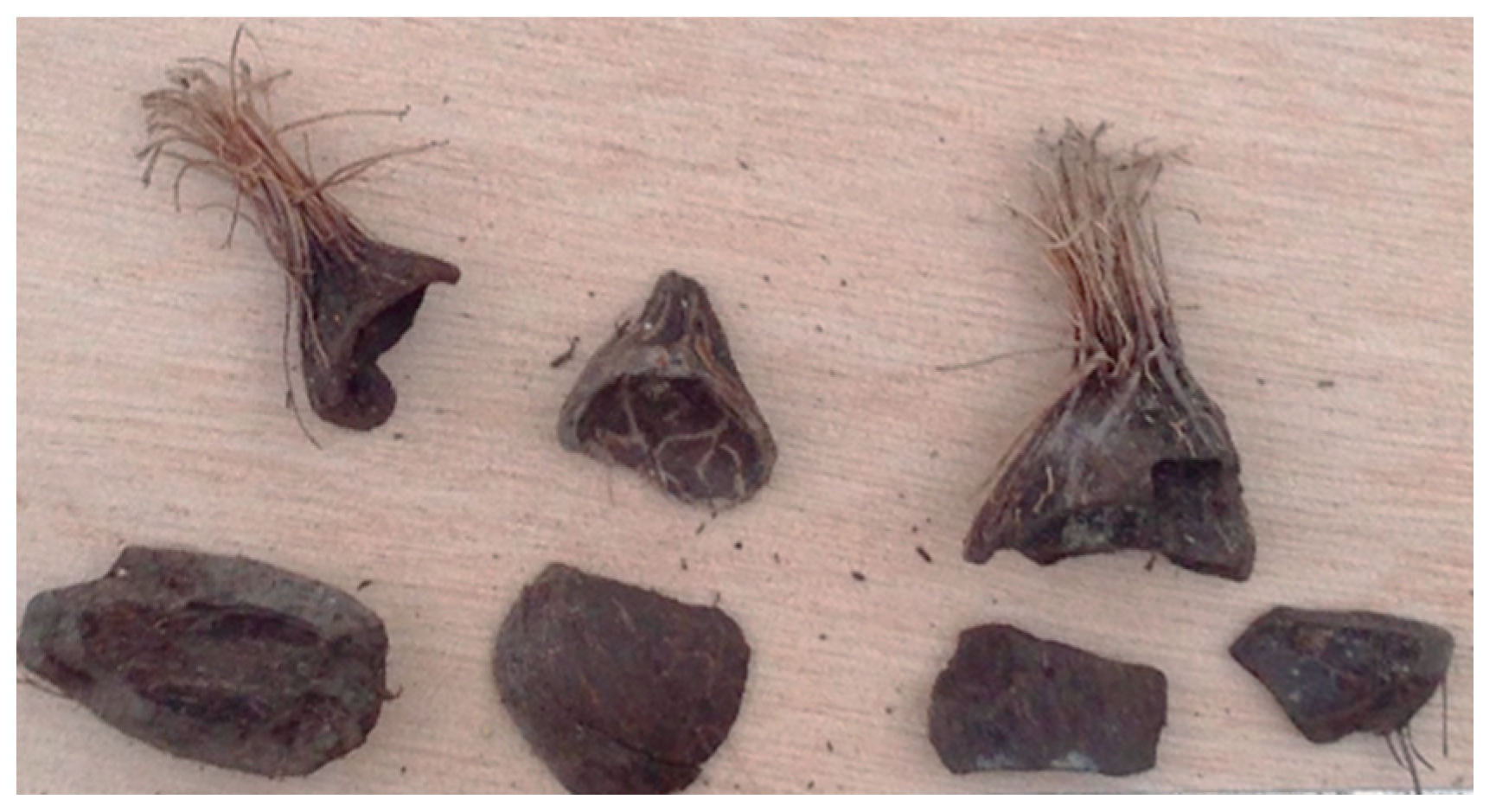 Buildings 11 00620 g001 Buildings 11 00620 g001