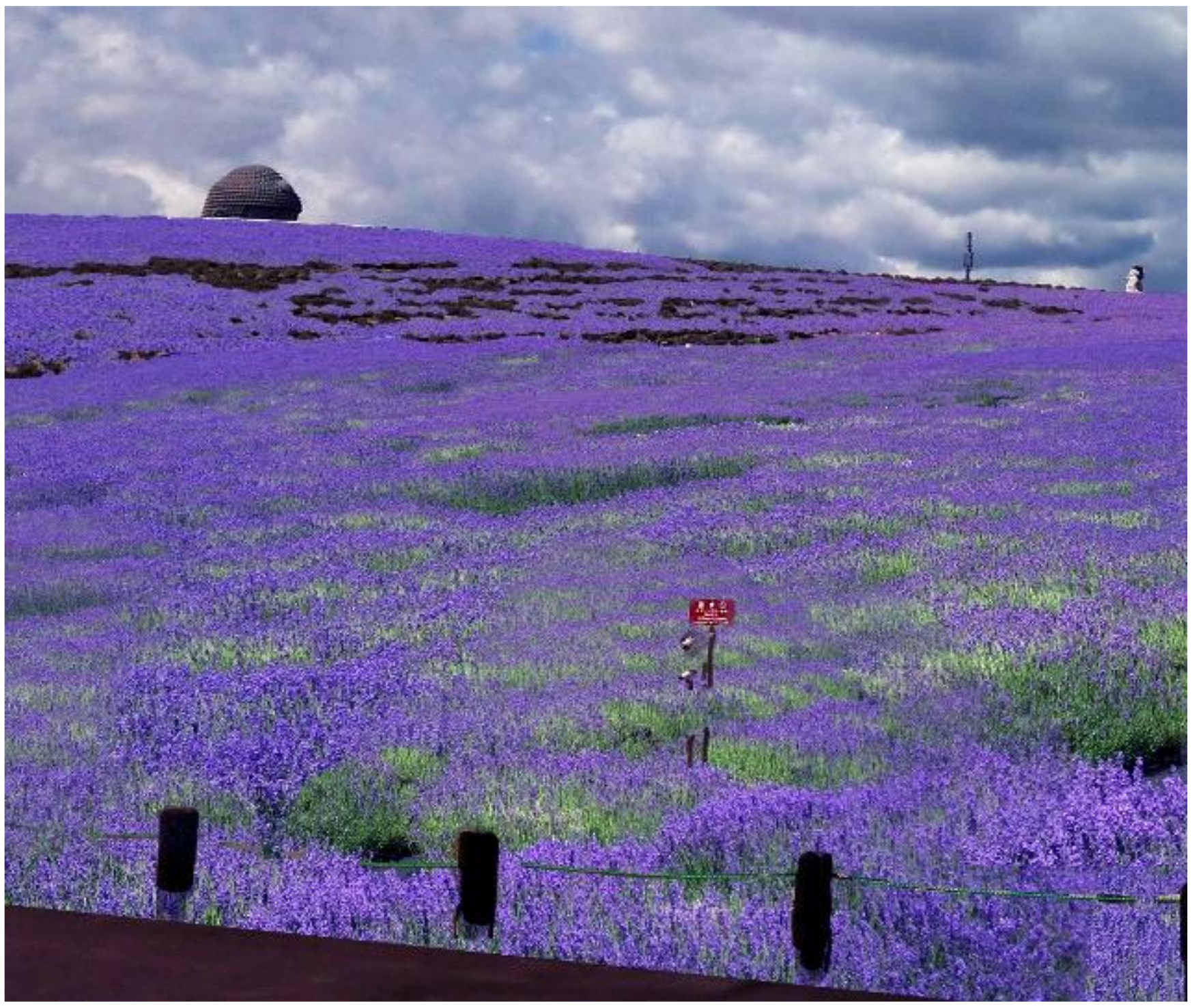 Buildings 12 00003 g030 Buildings 12 00003 g030