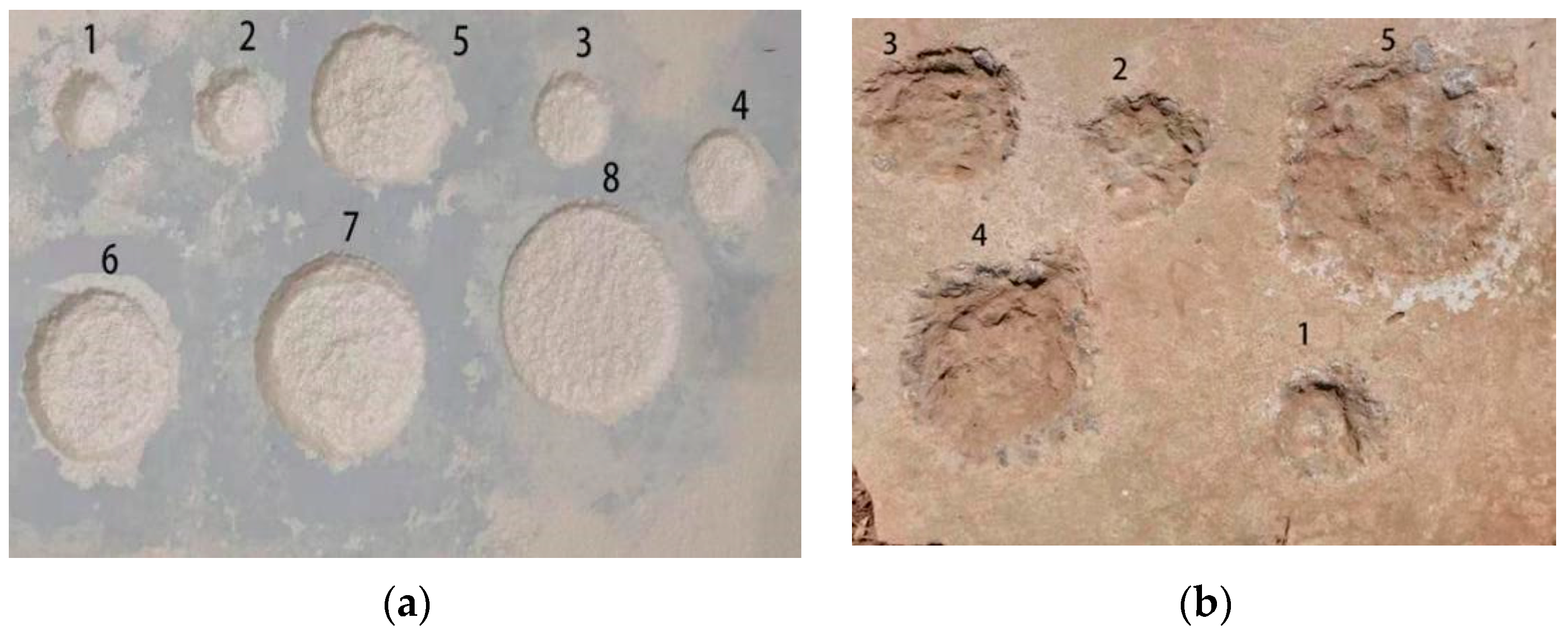 Buildings 12 00213 g012