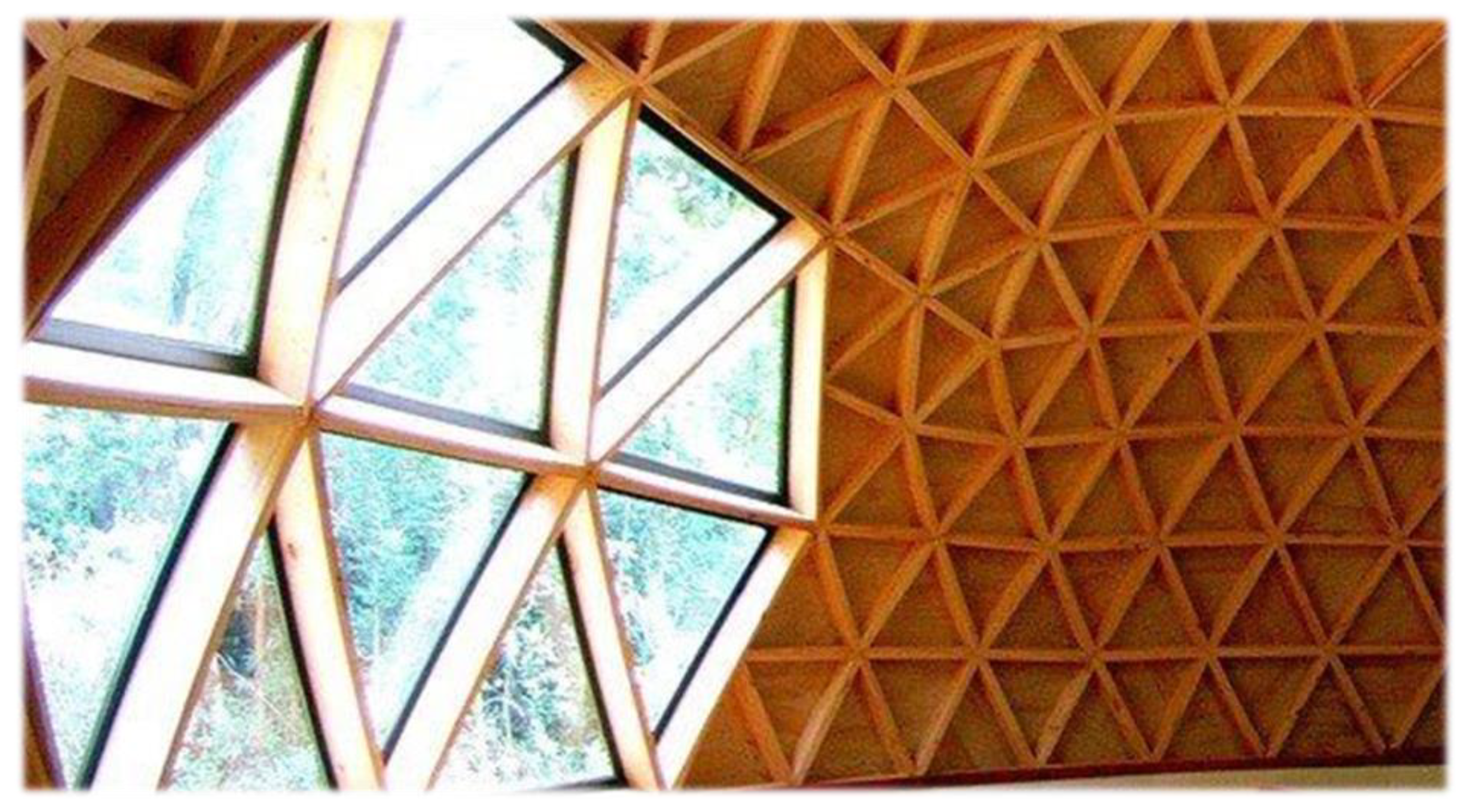 Discover the Domo Geodesic Housing: Innovation and Sustainability - Domo  Domo