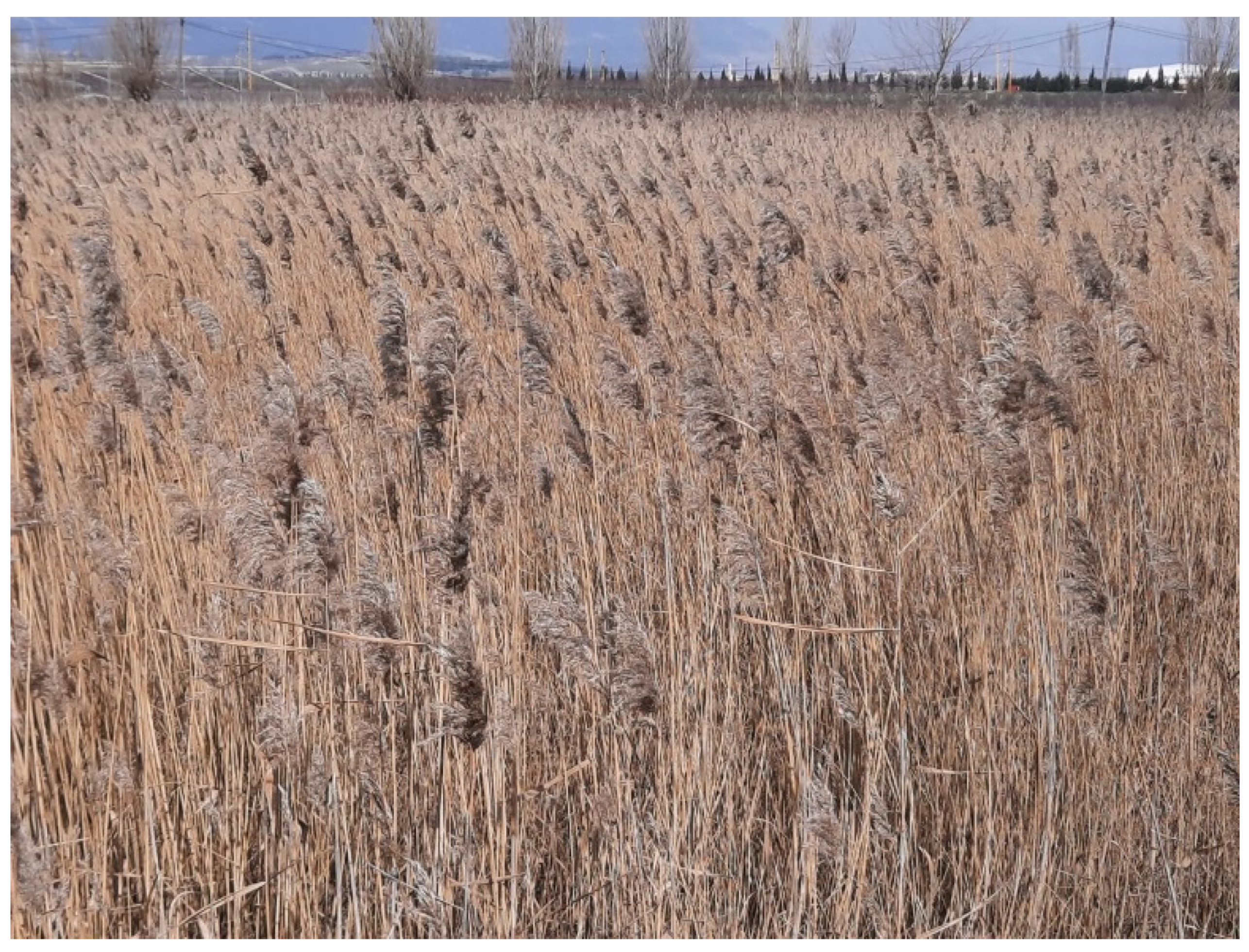 Buildings 12 00278 g001 Buildings 12 00278 g001