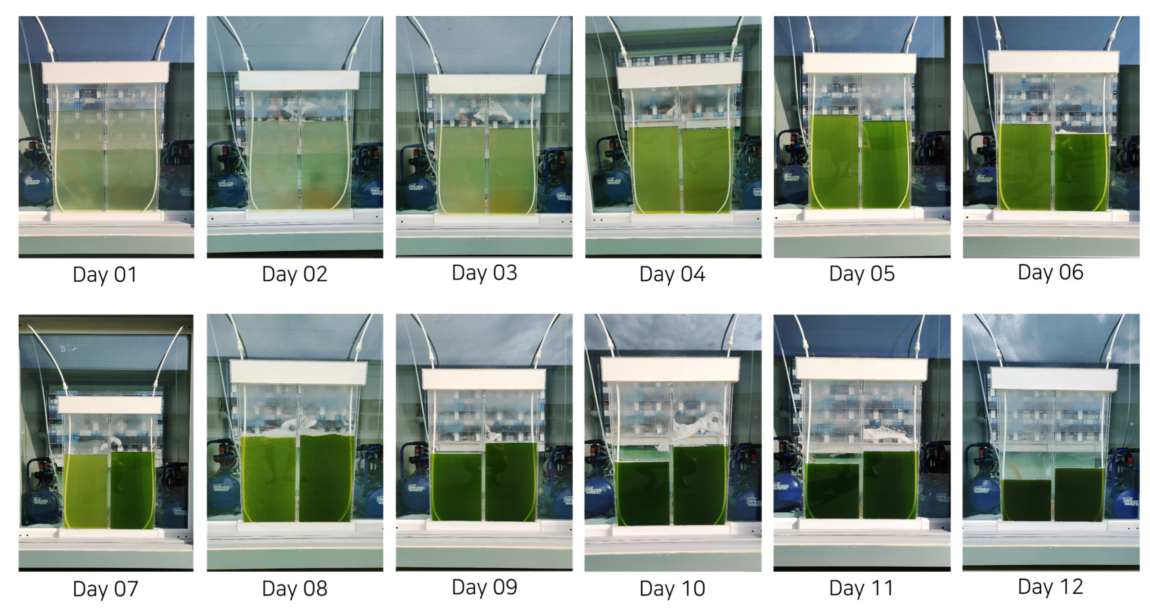 Buildings 12 00304 g005