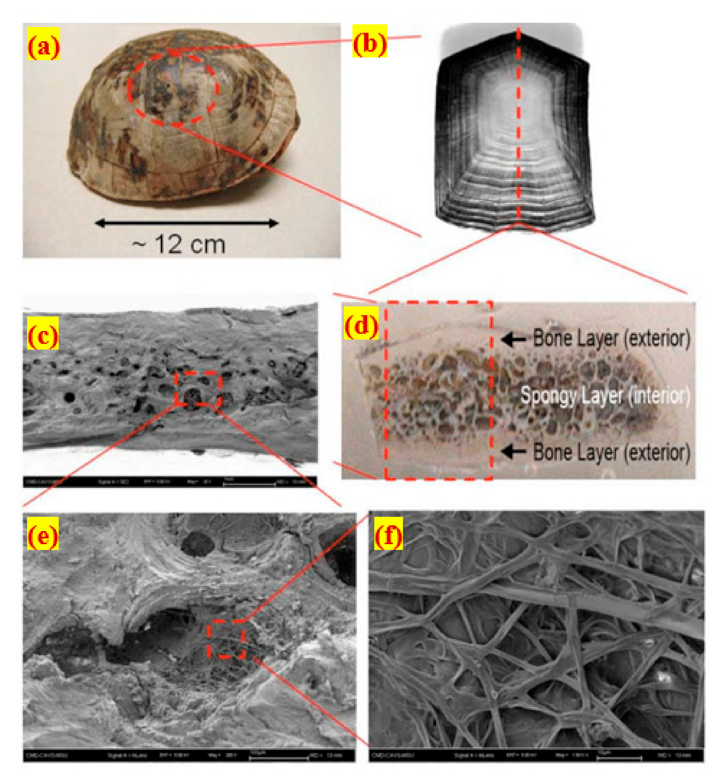 Buildings 12 00563 g001
