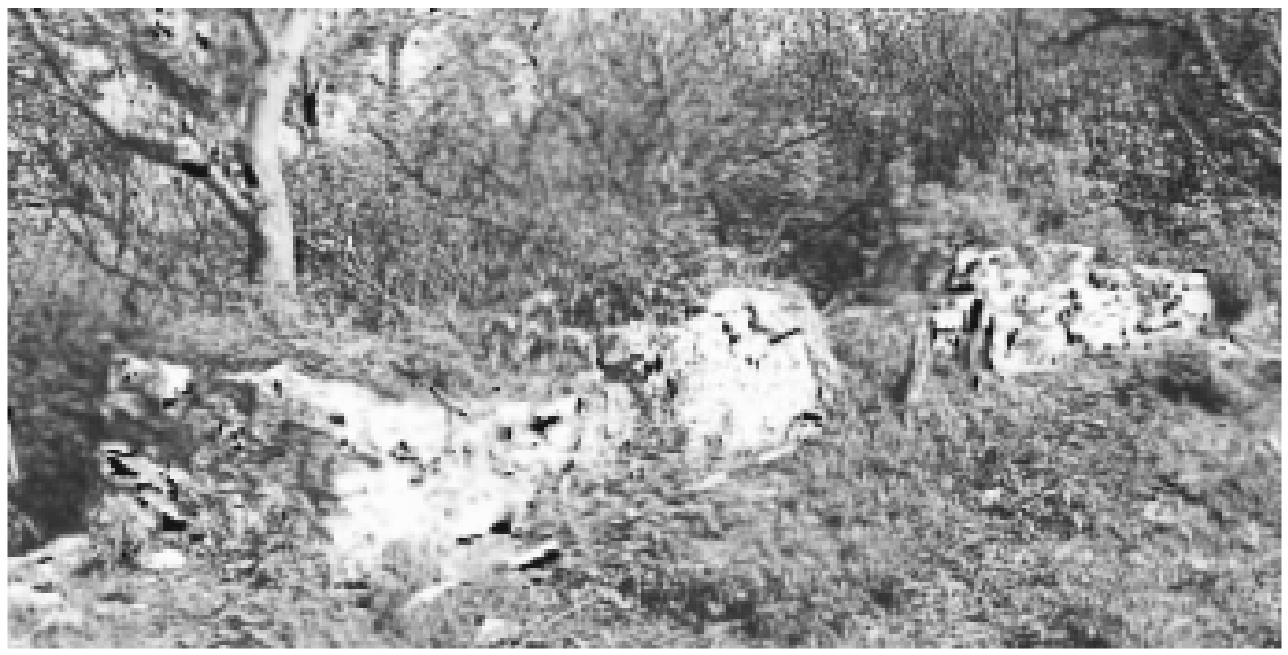 Buildings 12 00568 g009 550