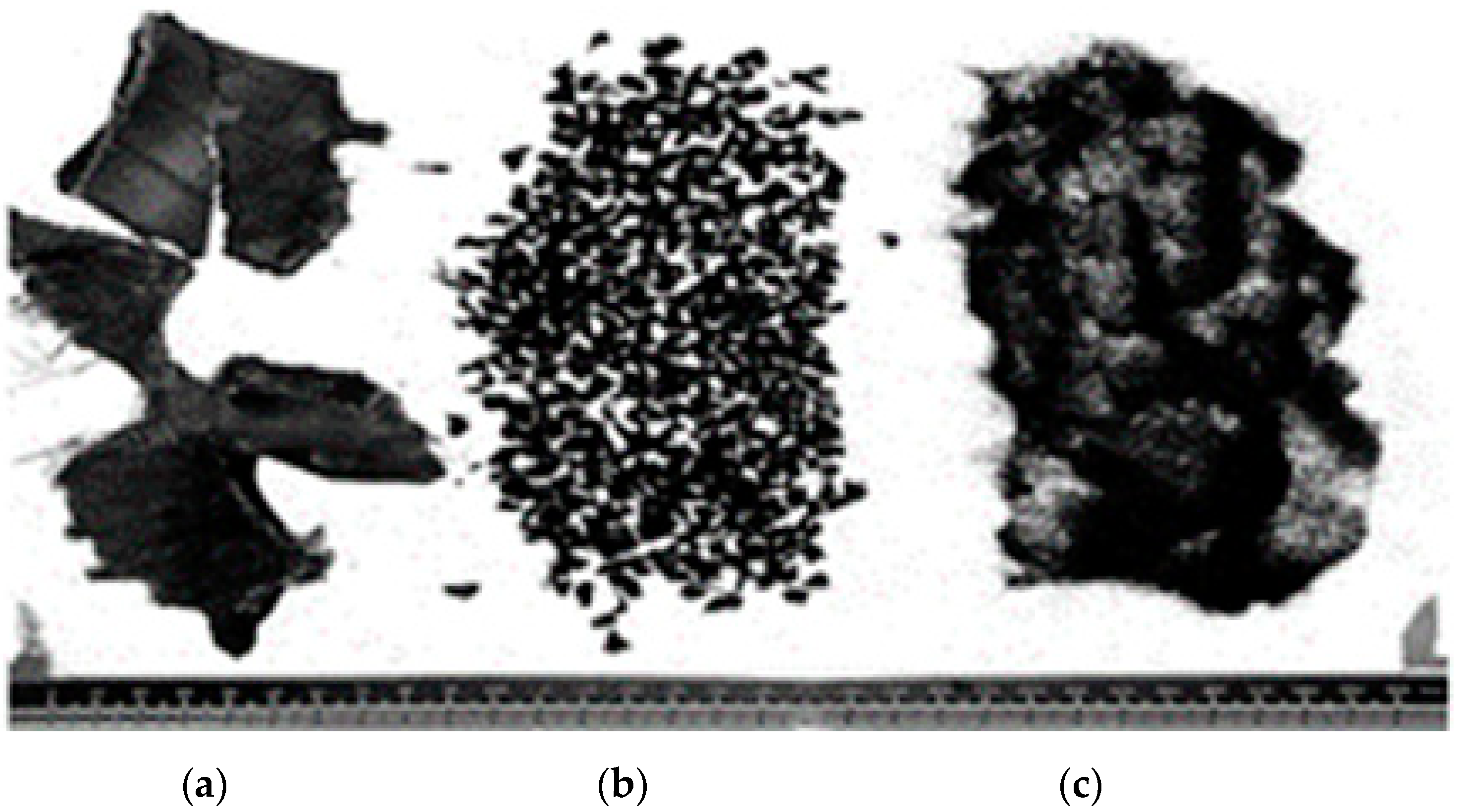 Buildings 12 00590 g001 550