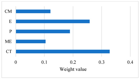 MNE results showing the main neuronal network activated by the