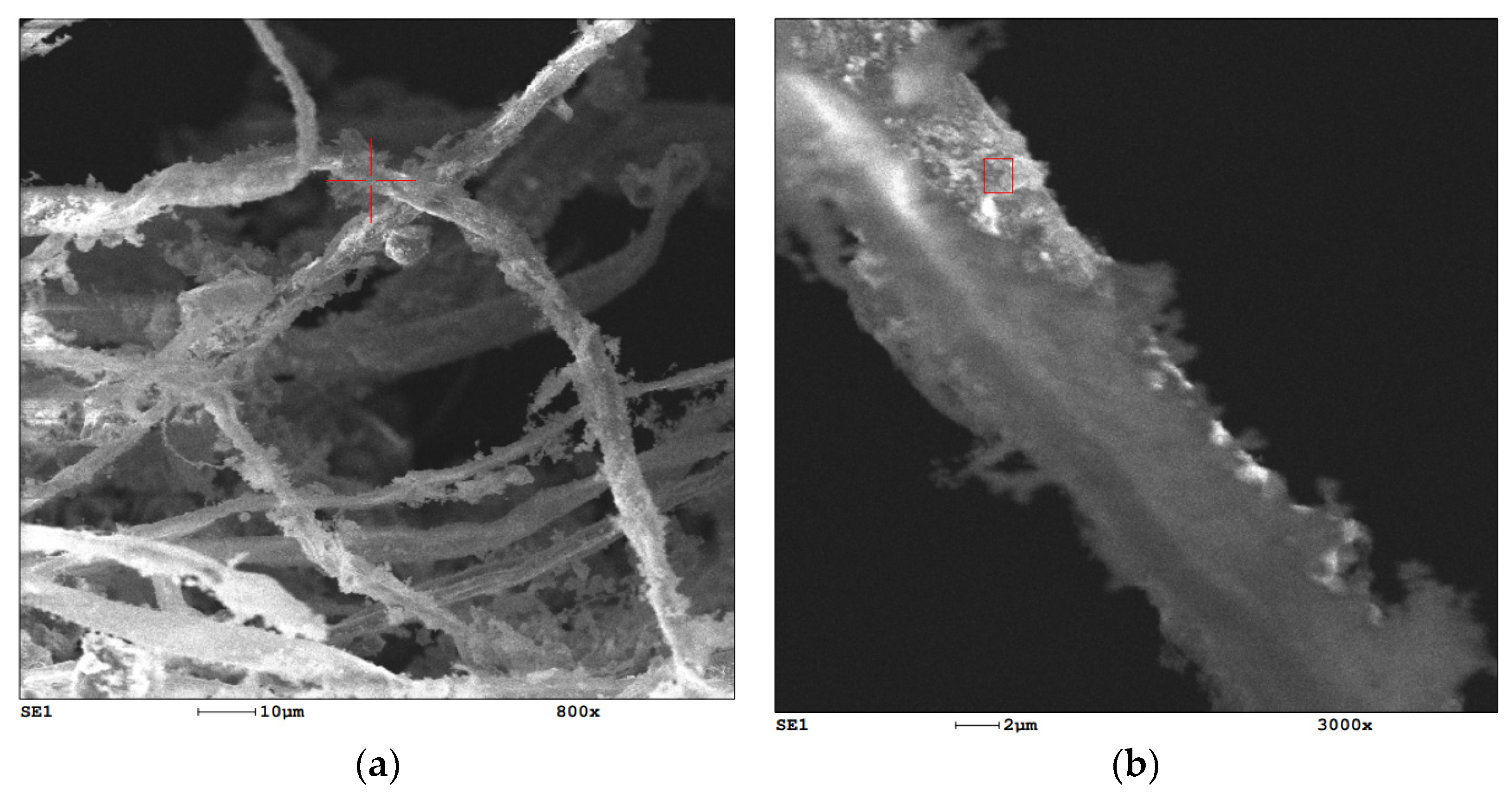 Buildings 12 00606 g015 550