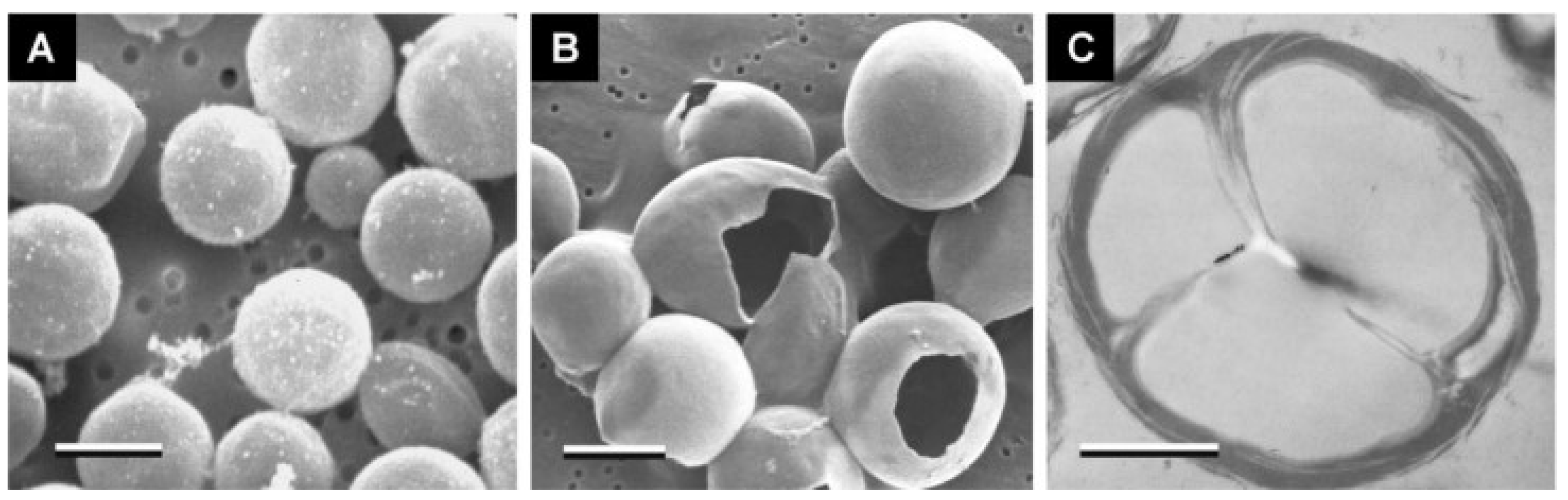 Buildings 12 00999 g001