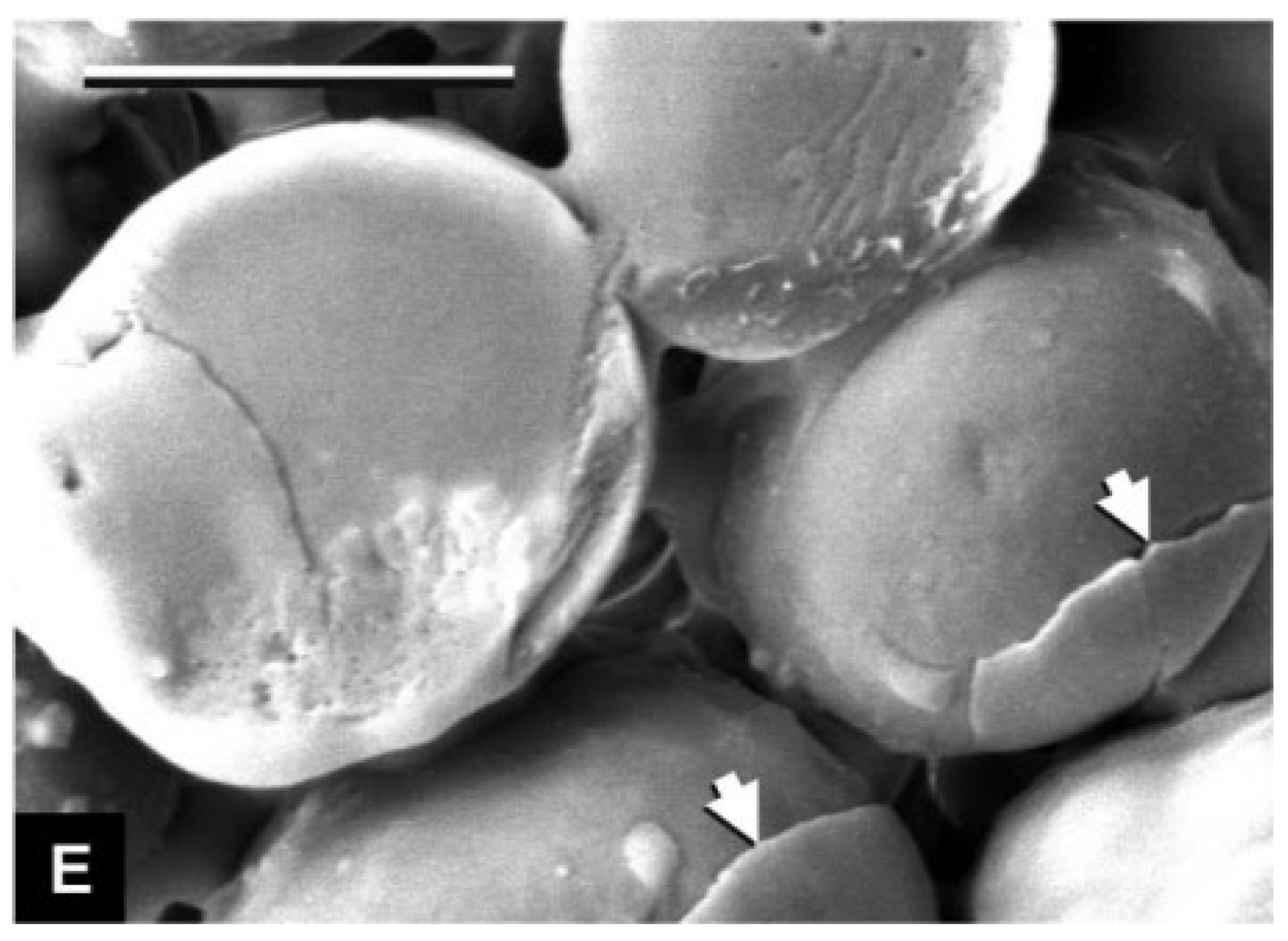 Buildings 12 00999 g006