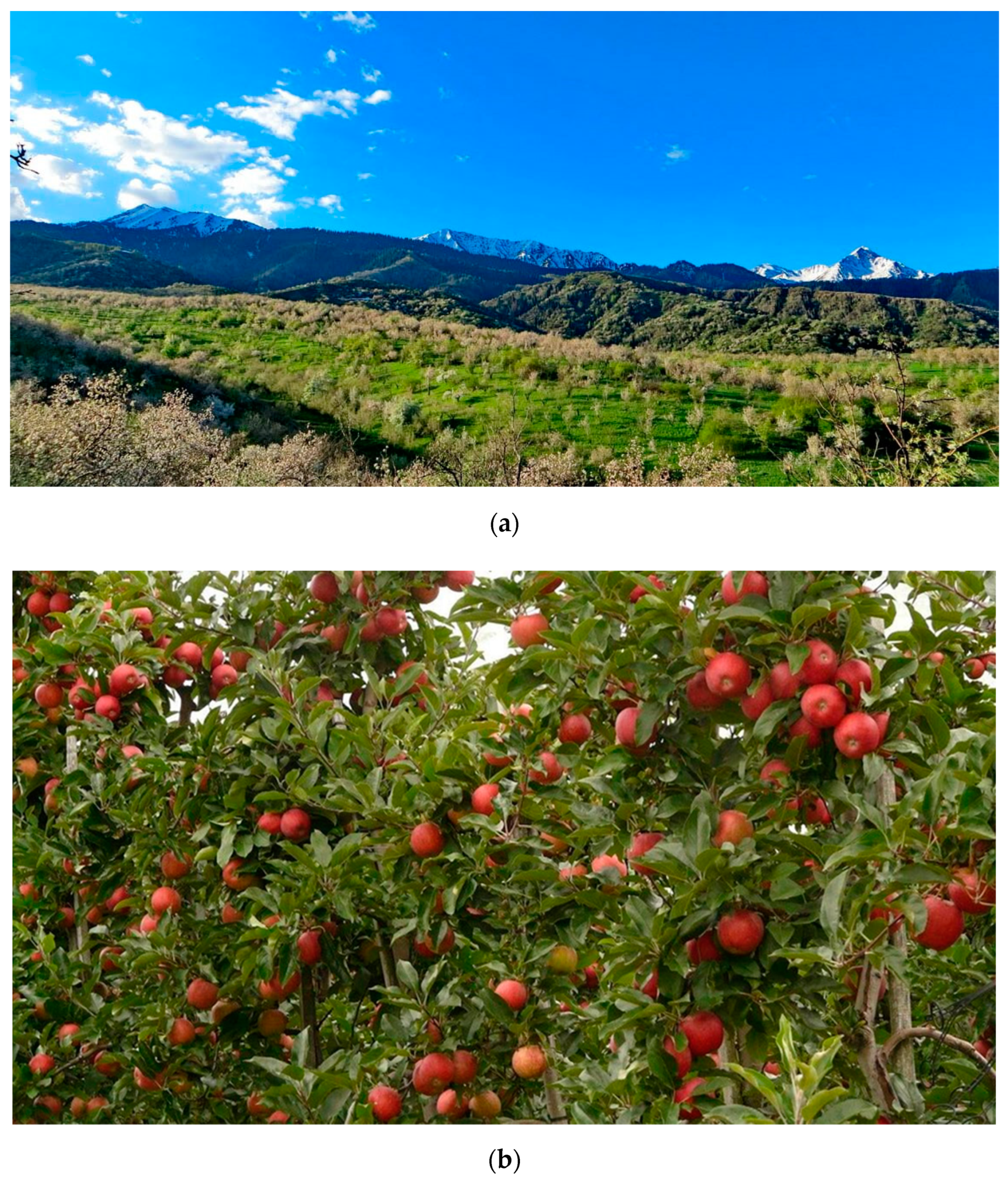 Buildings 12 01042 g001