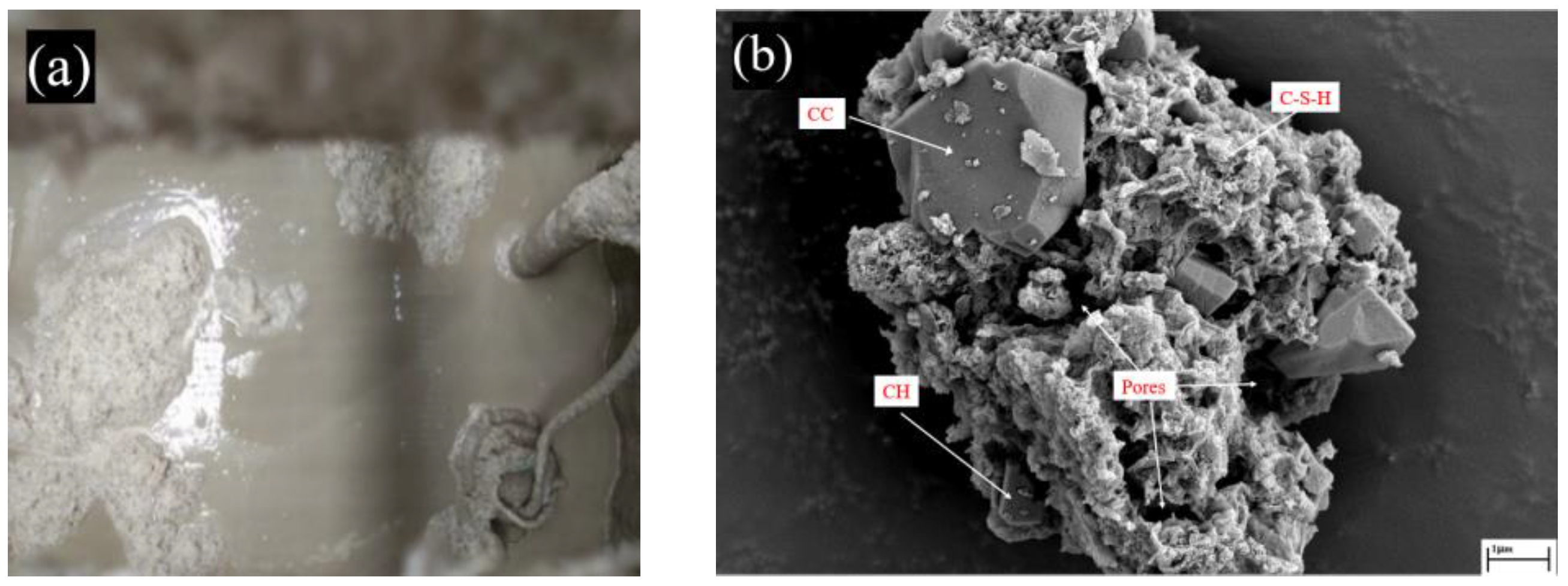 Buildings 12 01343 g003 550