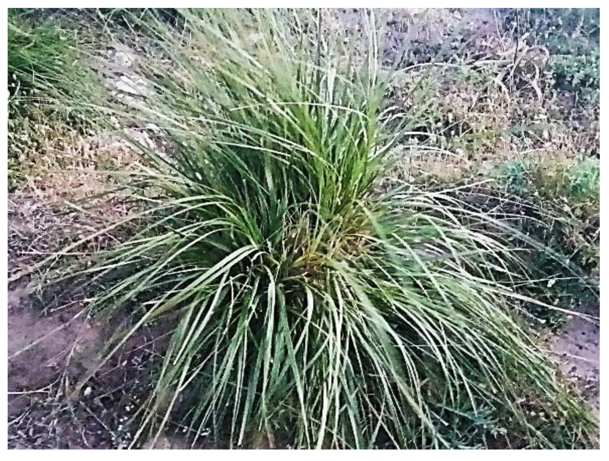 Buildings 12 01770 g001 Buildings 12 01770 g001