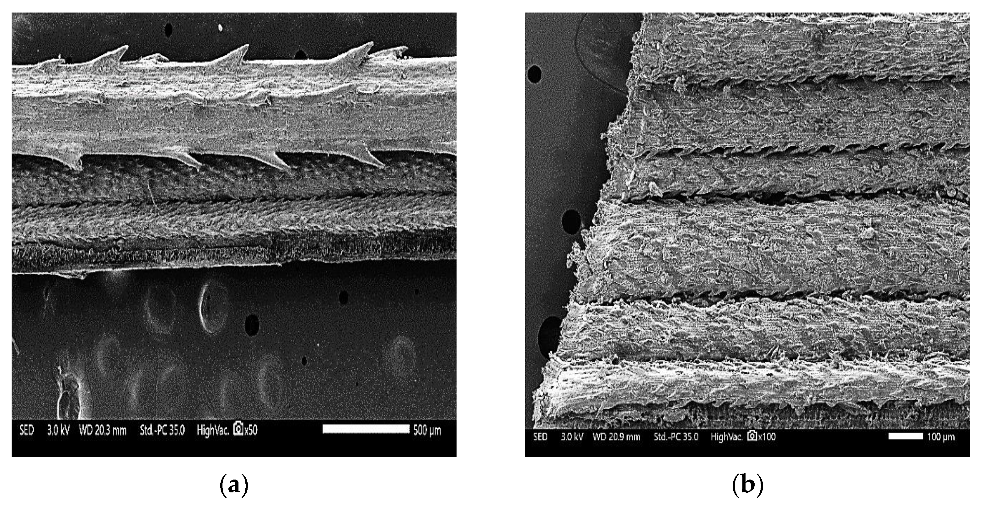 Buildings 12 01770 g003 Buildings 12 01770 g003