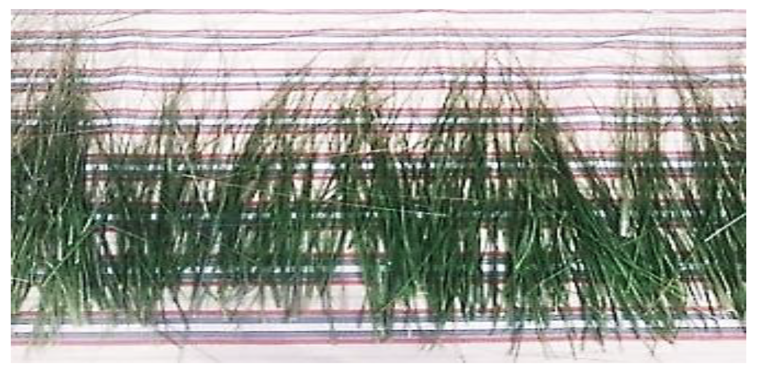 Buildings 12 01770 g006 Buildings 12 01770 g006