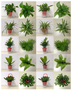 Buildings 12 01848 i001 Buildings 12 01848 i001