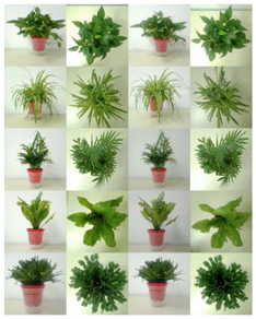 Buildings 12 01848 i002 Buildings 12 01848 i002