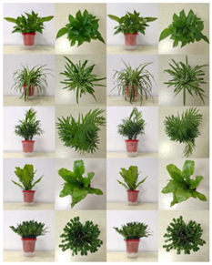 Buildings 12 01848 i003 Buildings 12 01848 i003