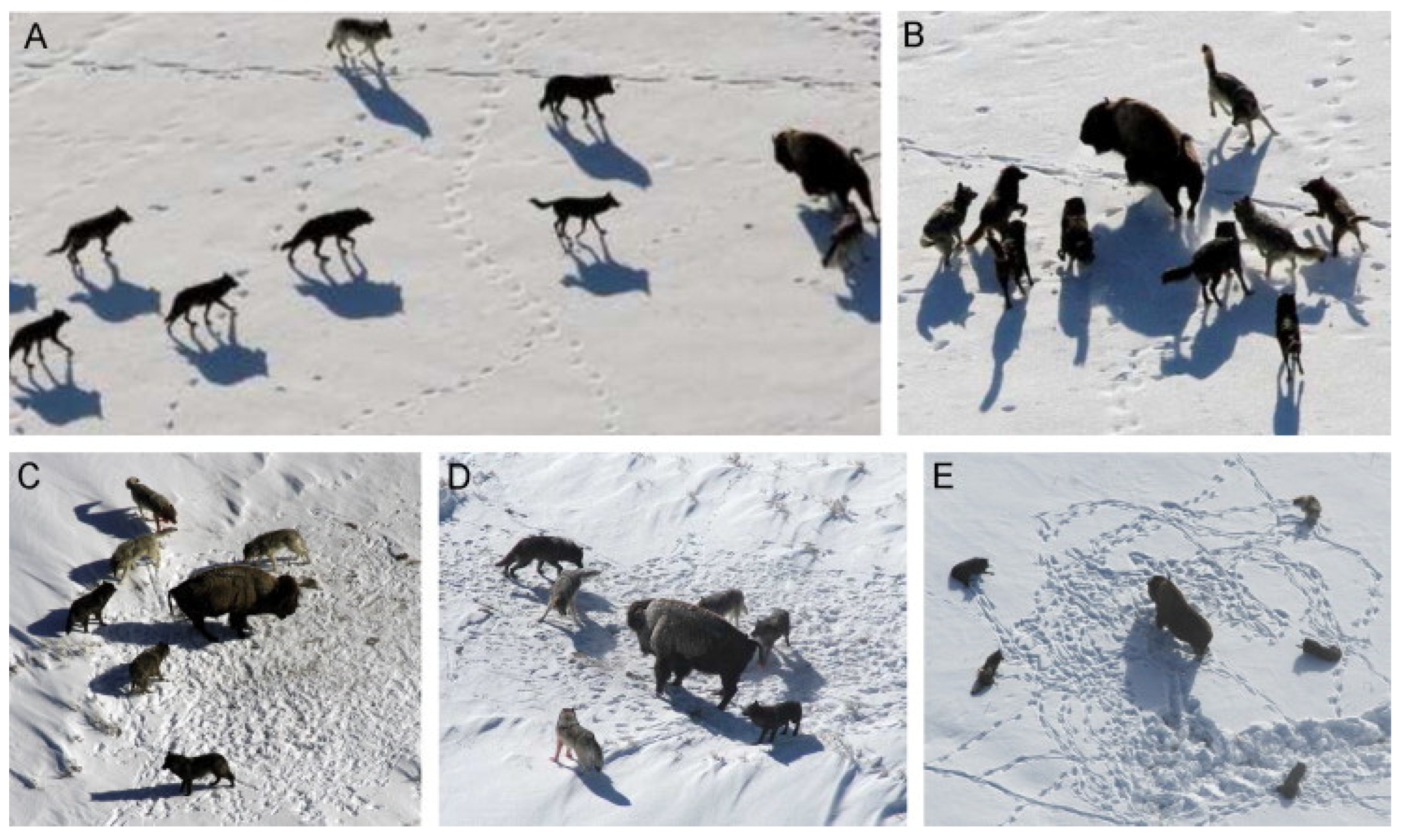 Buildings 12 01870 g013