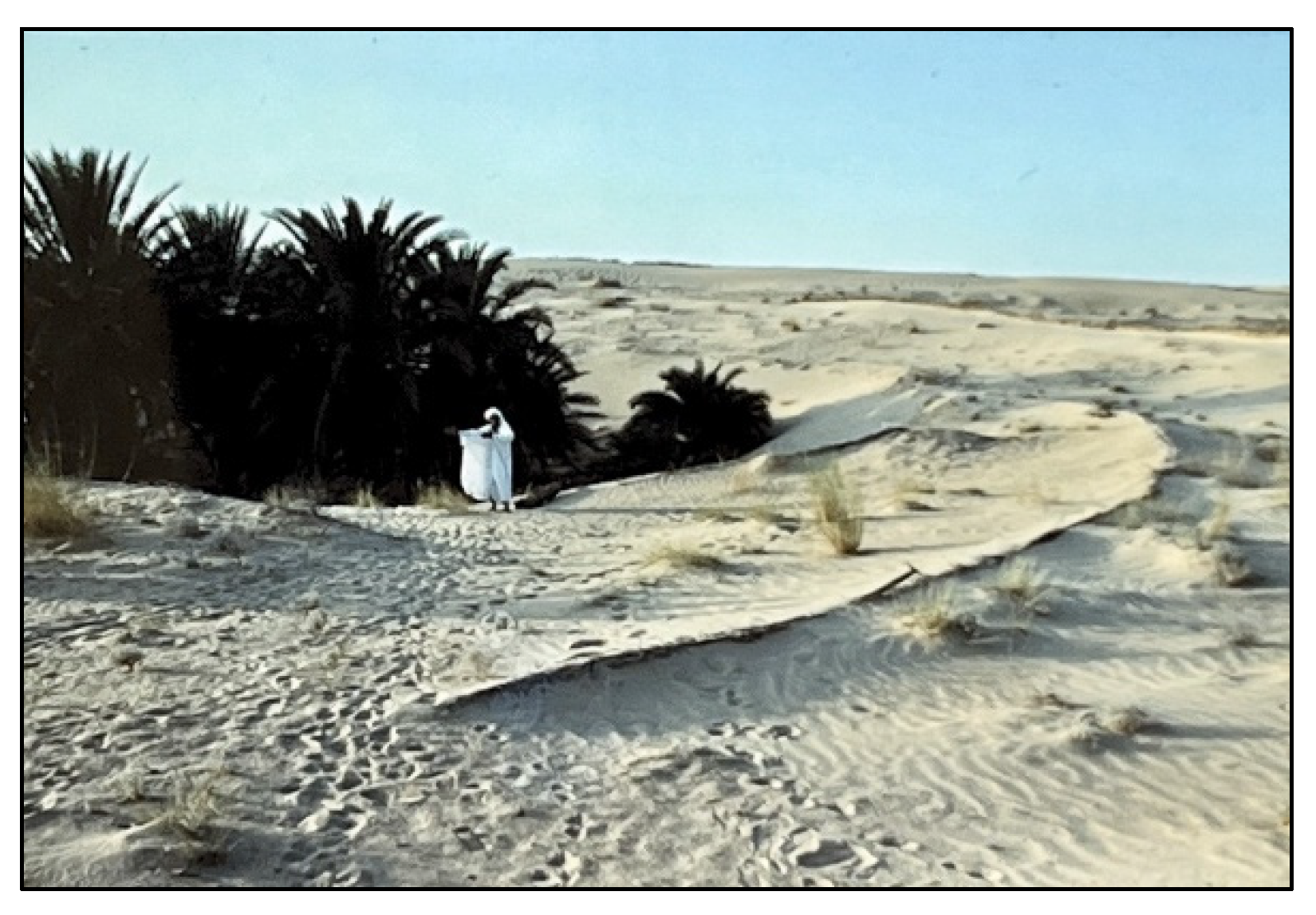 Buildings 12 02006 g006