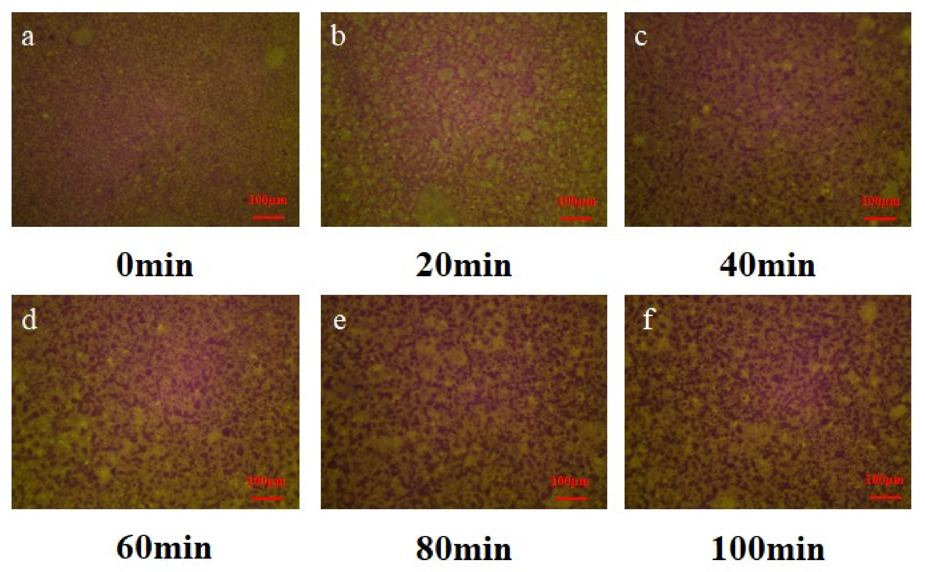 Buildings 12 02133 g010