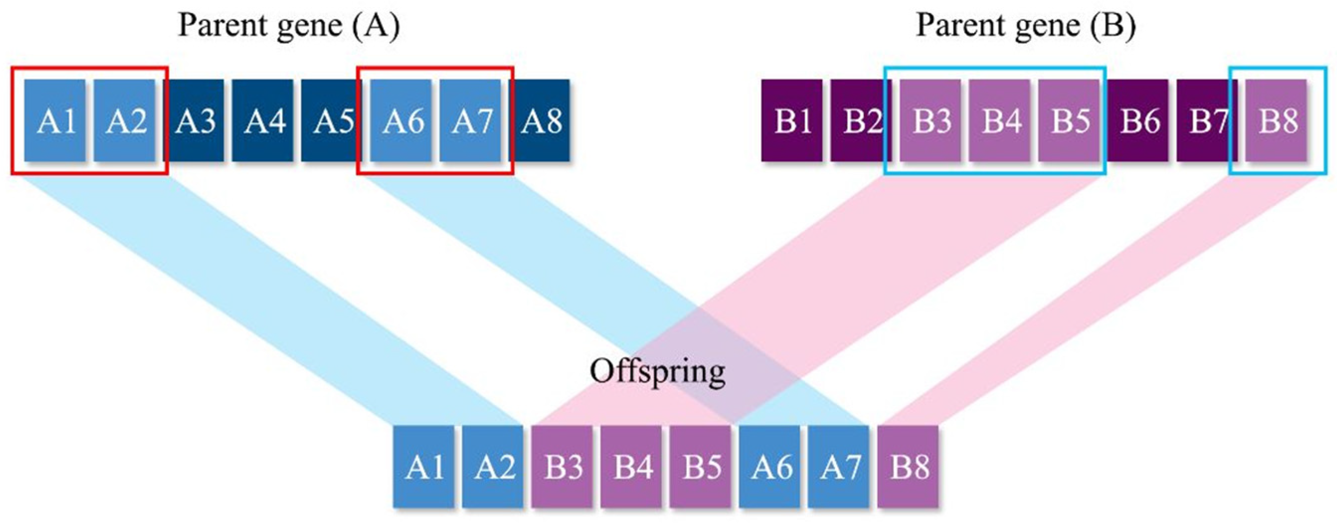 Buildings 13 00074 g003