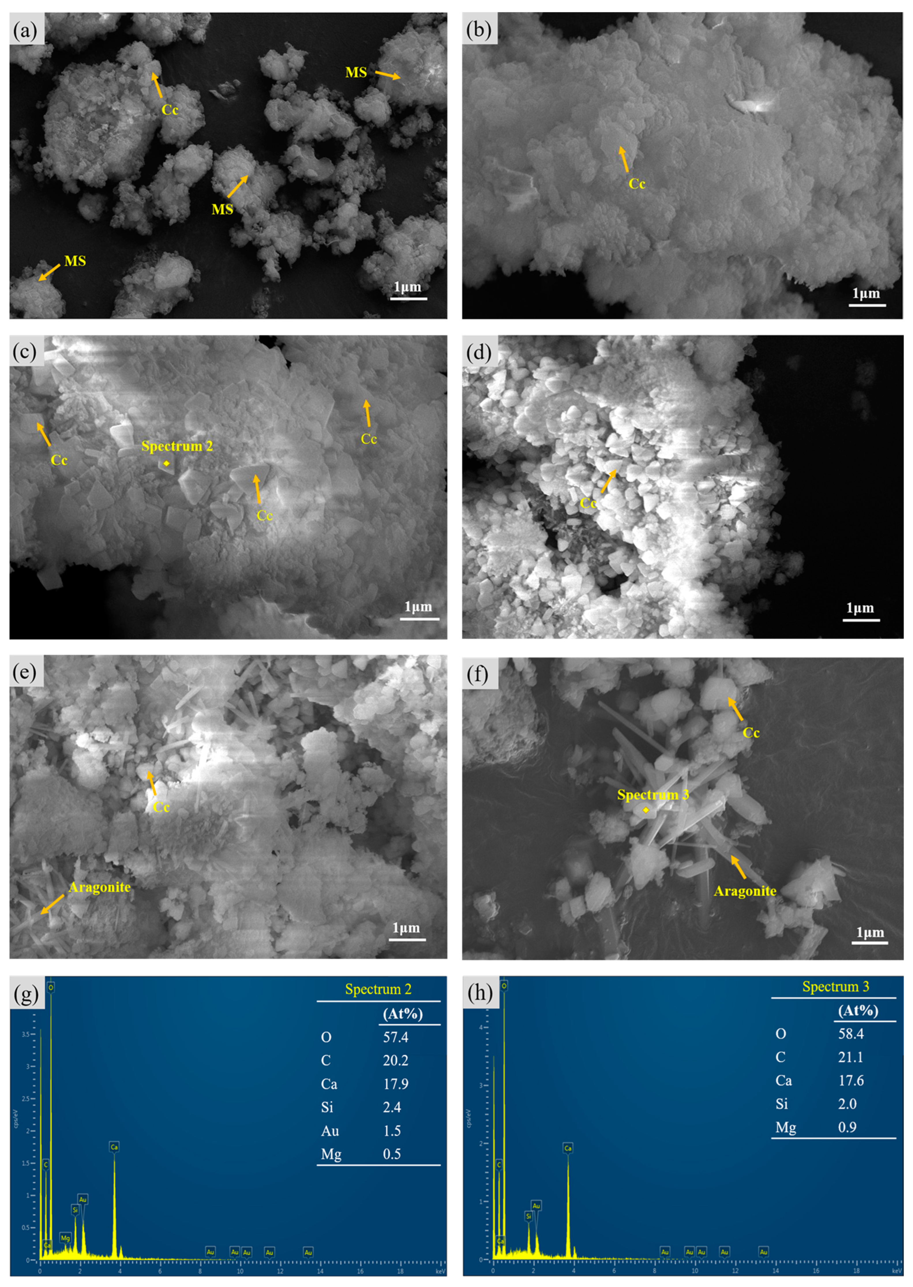 Buildings 13 00204 g011 550