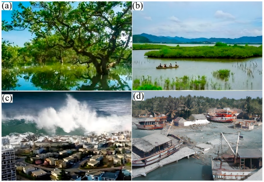 Buildings 13 00310 g001