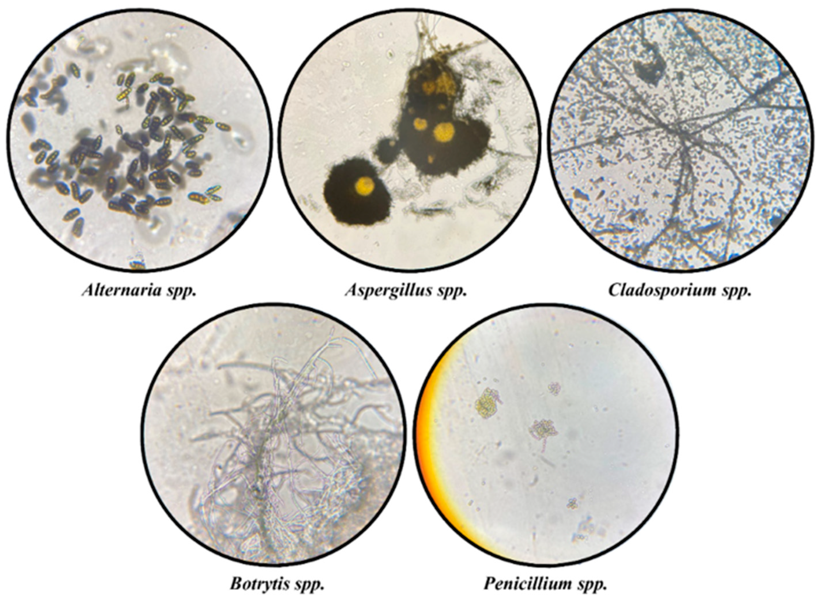 Buildings 13 00620 g006