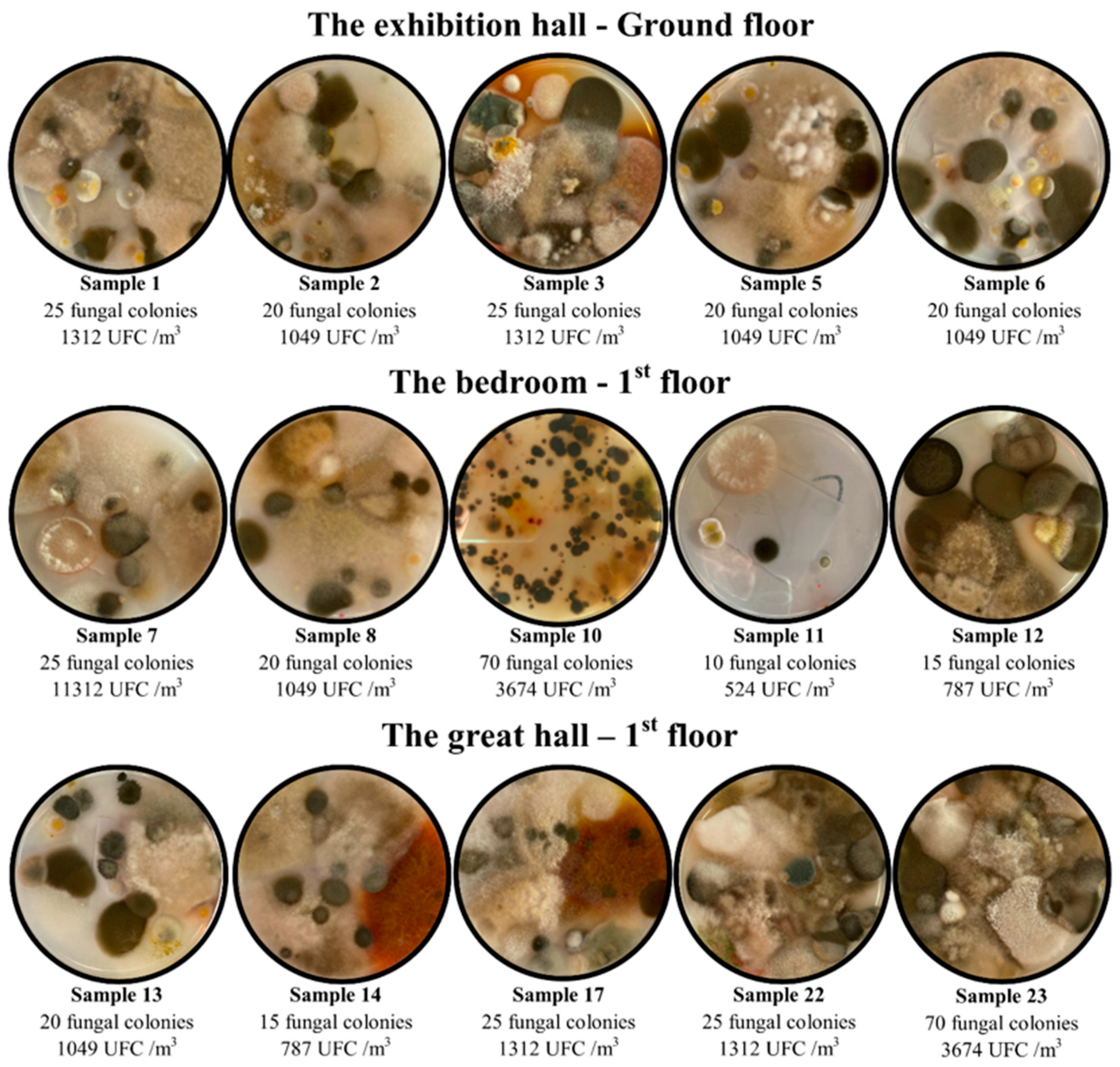 Buildings 13 00620 g007