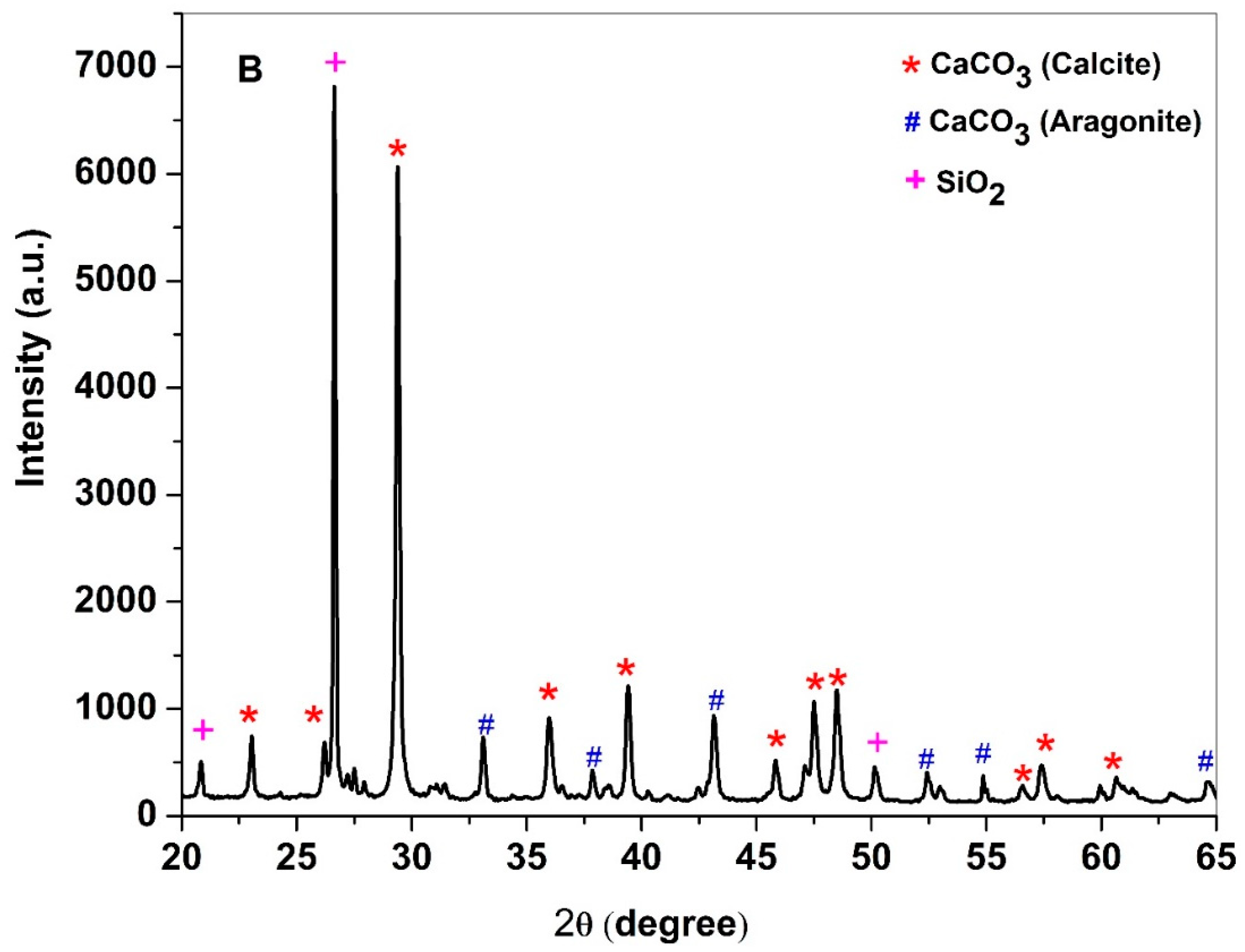 Buildings 13 00672 g004