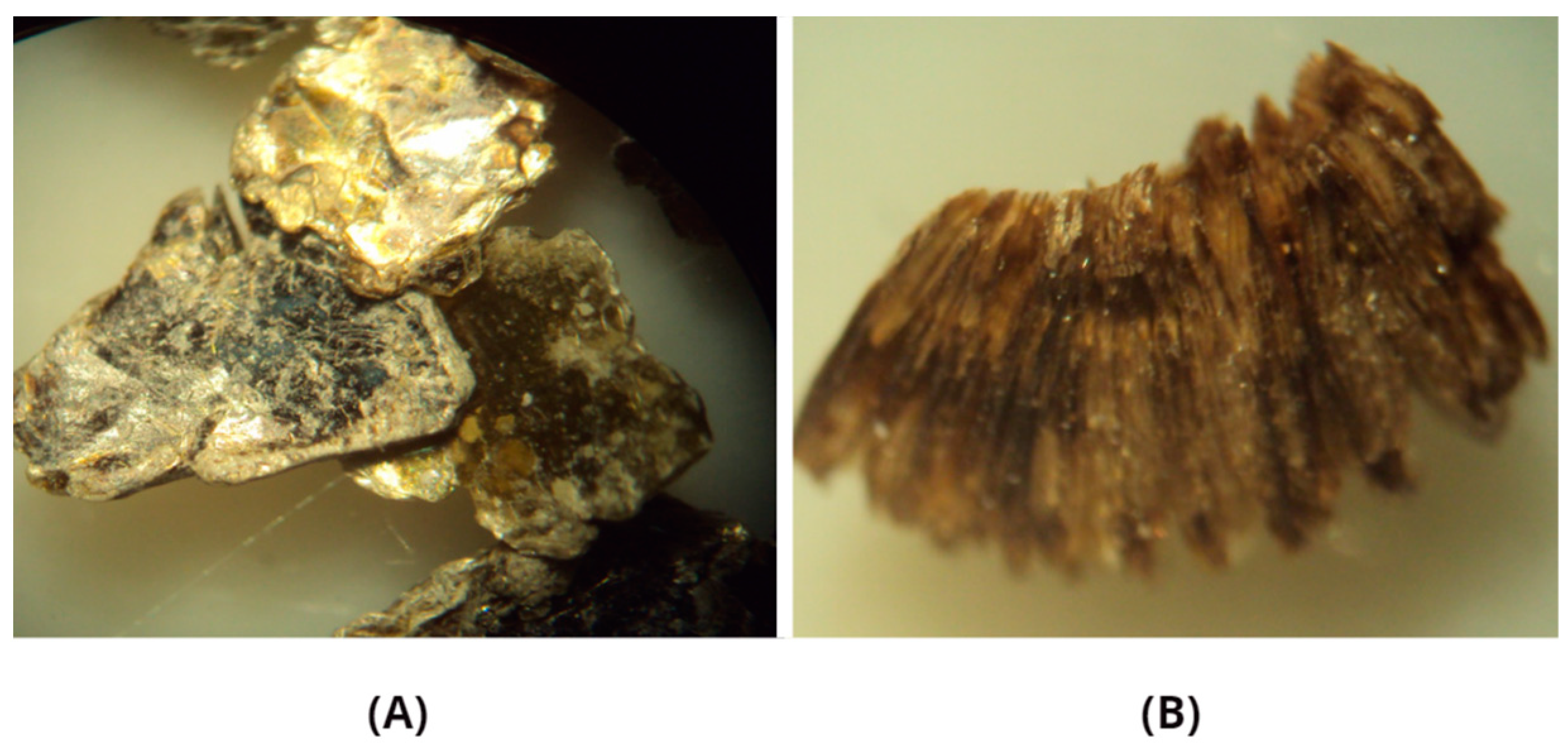 Buildings 13 00823 g004 Buildings 13 00823 g004